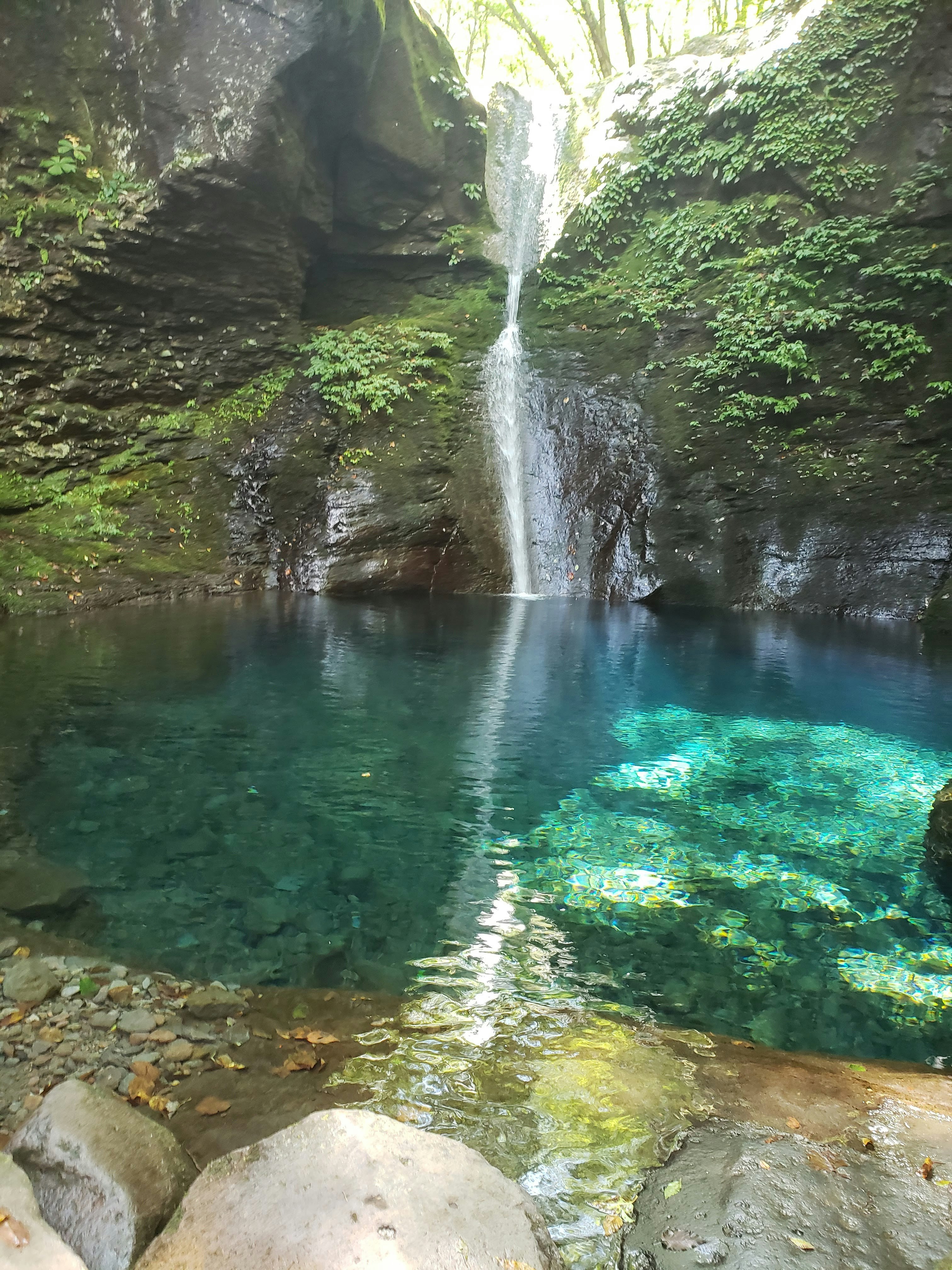 緑に囲まれた滝と澄んだ水の渓流