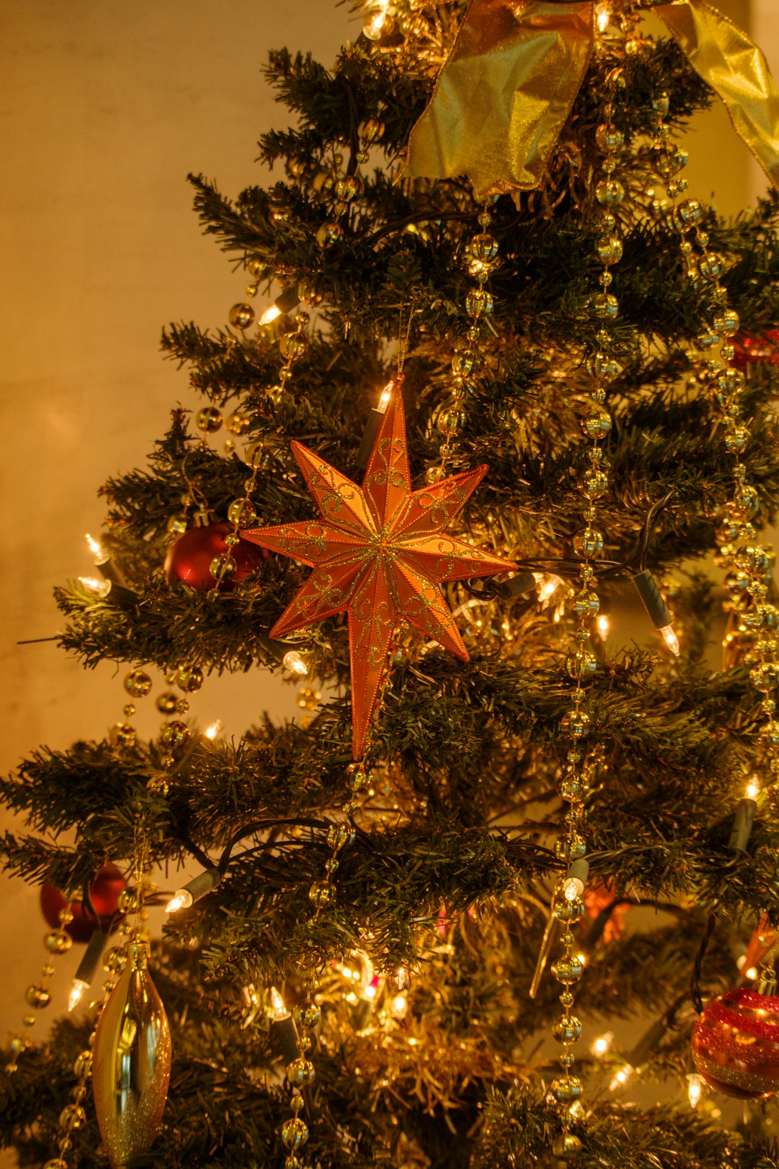 Cây thông Noel được trang trí với ngôi sao vàng và các đồ trang trí màu đỏ