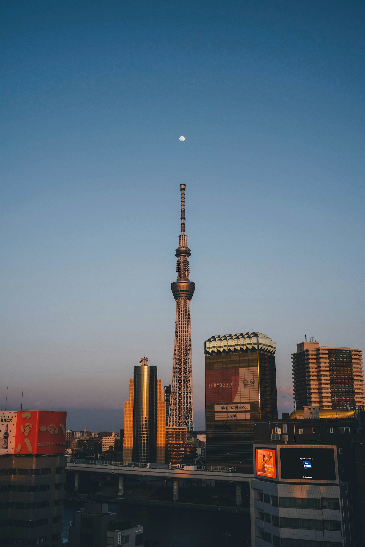 东京晴空塔的黄昏轮廓和月亮