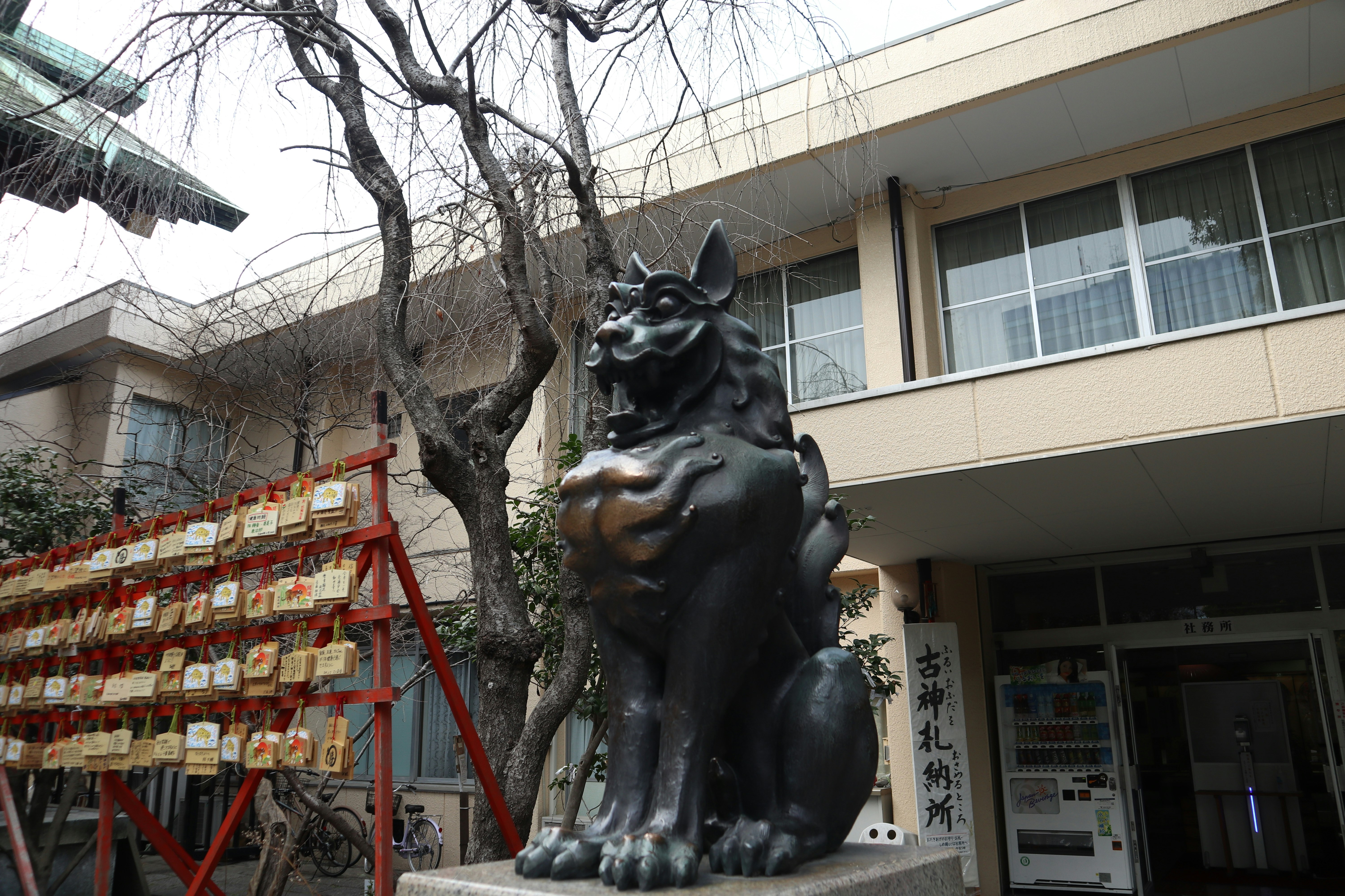 庭院里的狛犬雕像与周围建筑外观