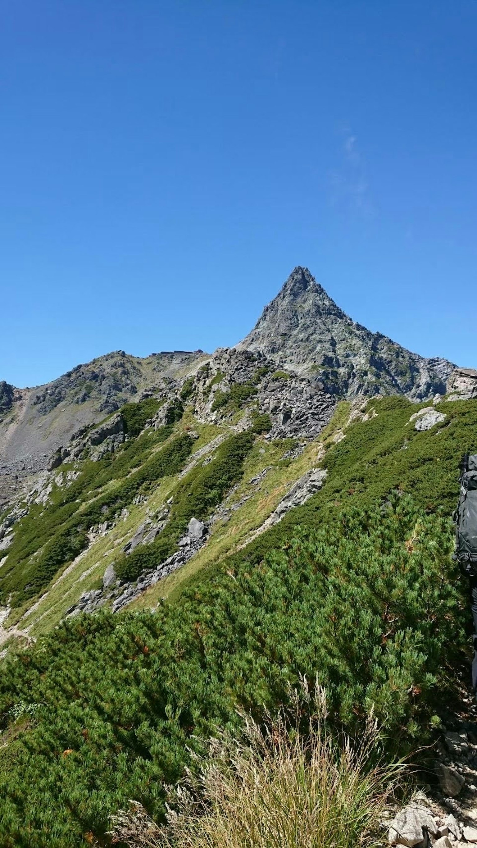 Montagna a picco sotto un cielo blu chiaro con vegetazione lussureggiante
