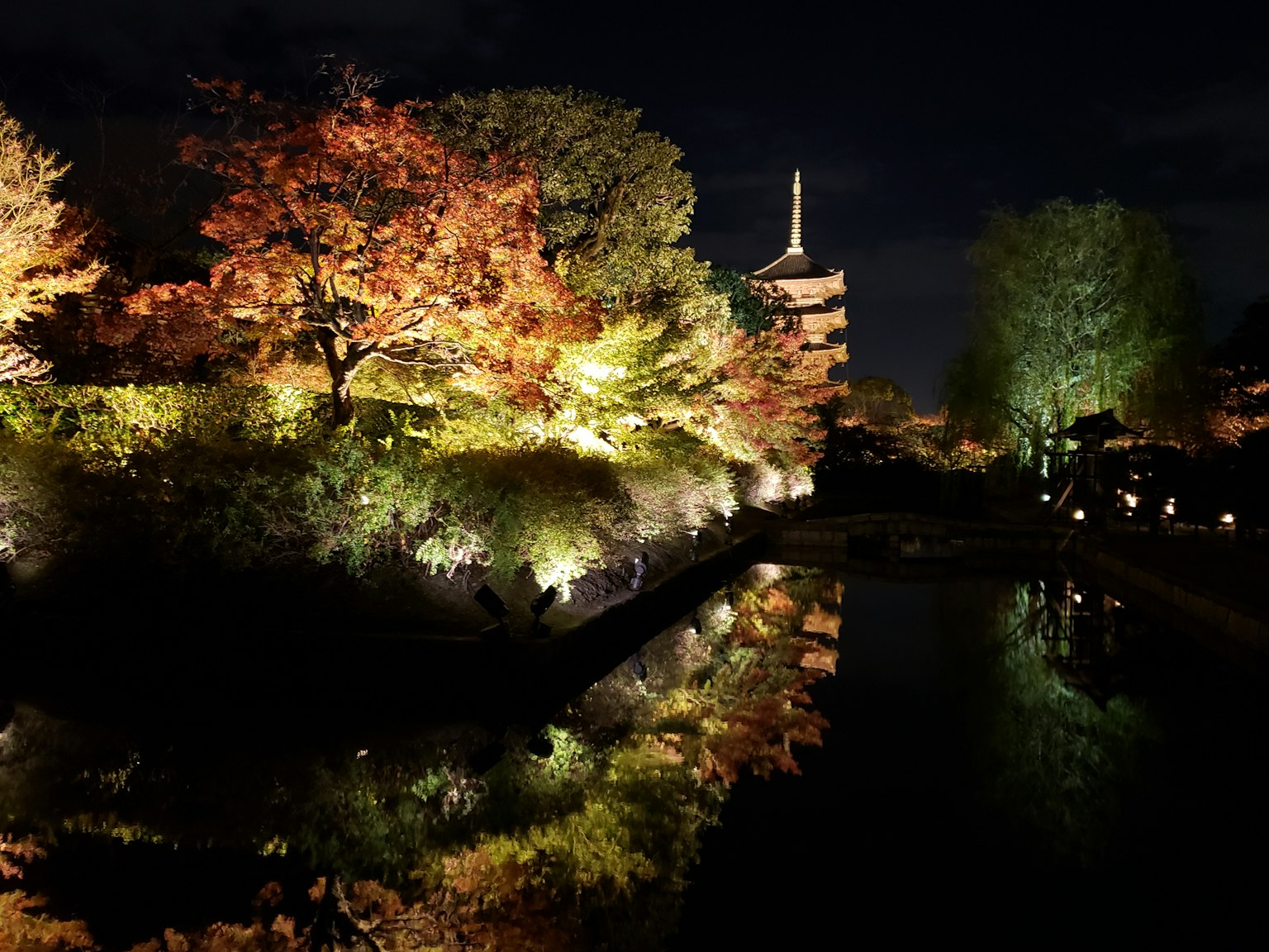 Schöne Reflexion der Herbstblätter und des Parks bei Nacht