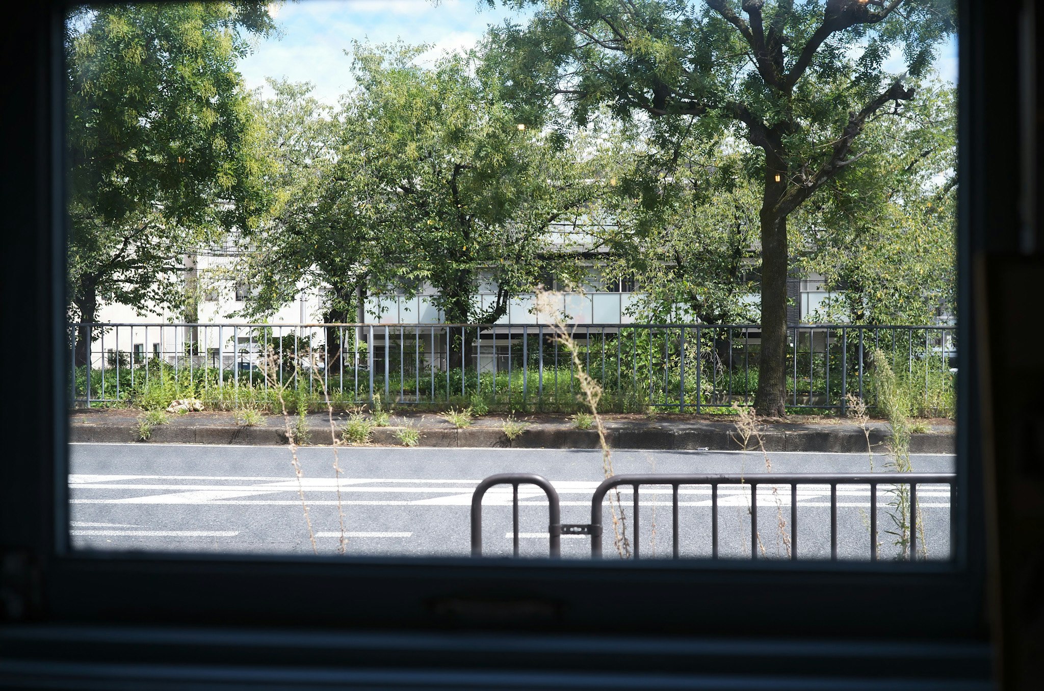 view of a fence and green trees through a window