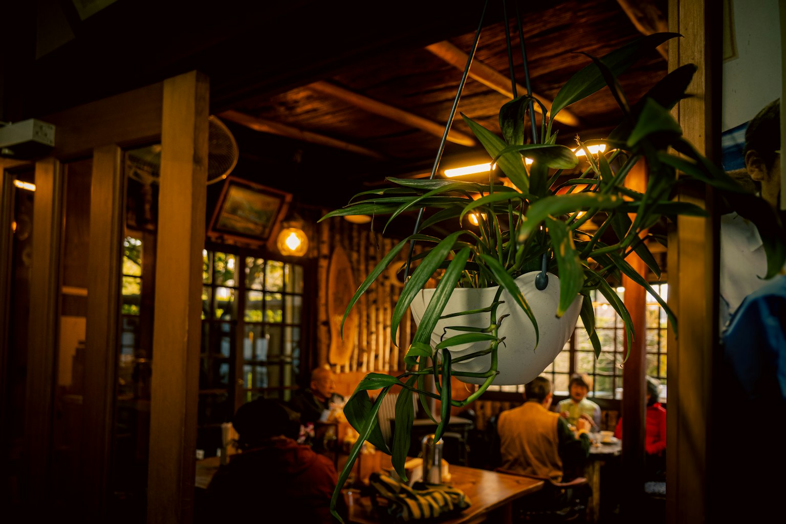Cozy cafe interior featuring hanging plants and people dining