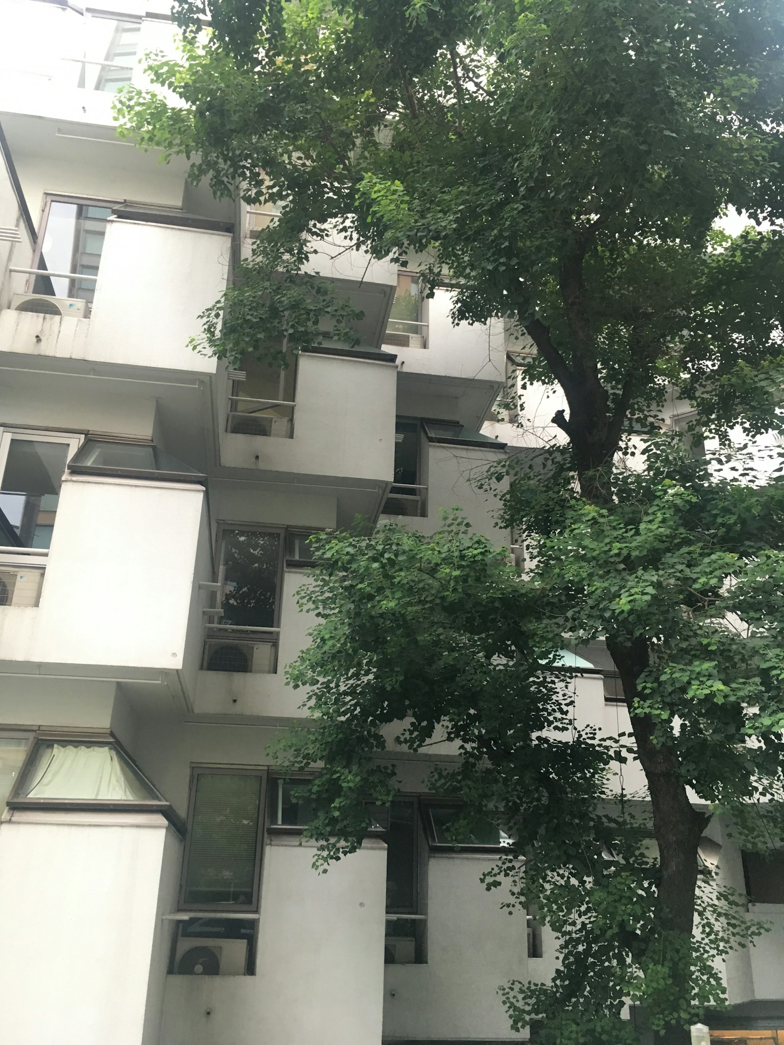 Urban scene featuring a white building and lush green trees