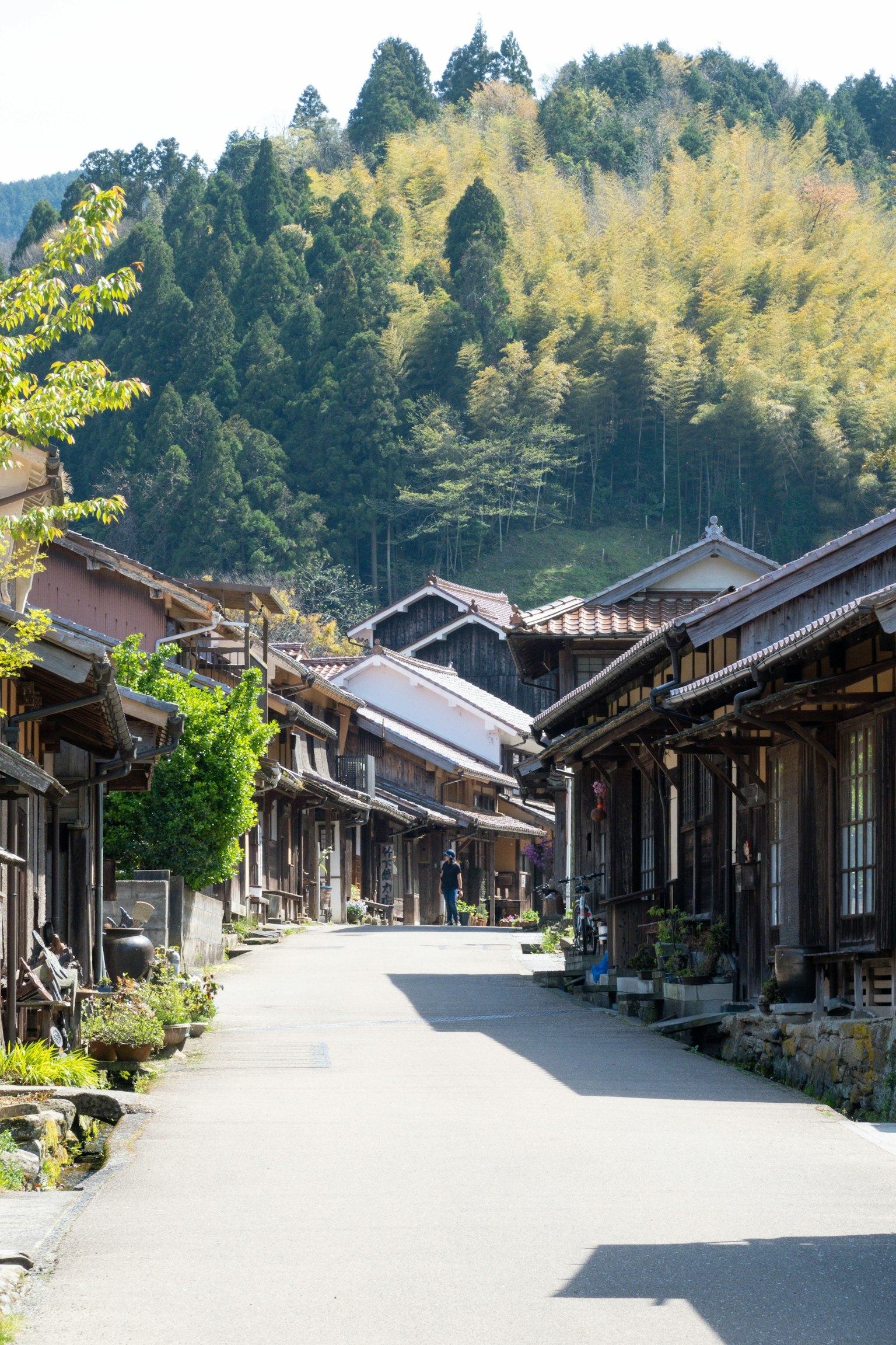 Paysage urbain japonais traditionnel avec des bâtiments anciens le long d'une rue bordée d'arbres