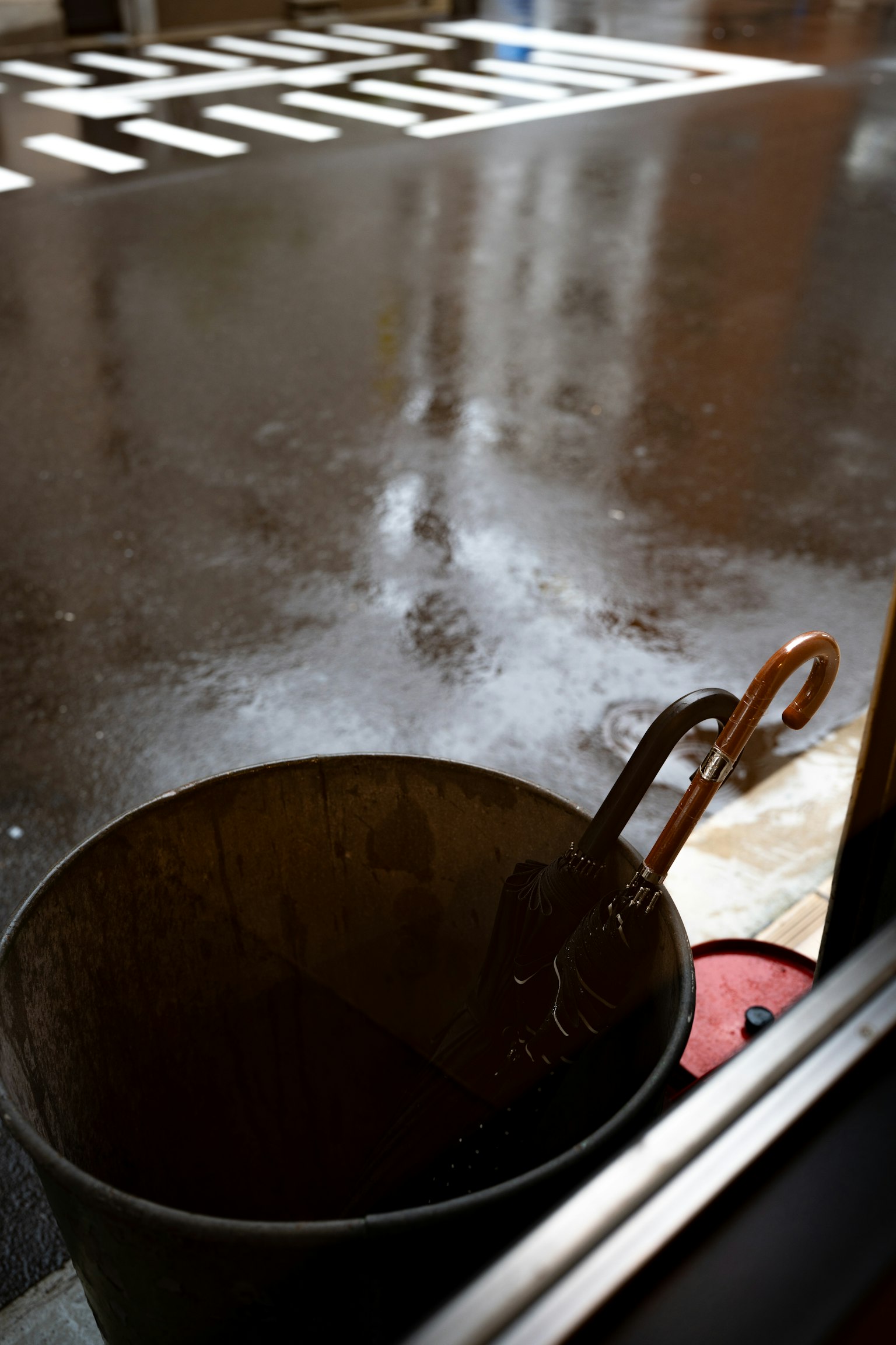 雨に濡れた地面と金属製のバケツが映る静かな風景