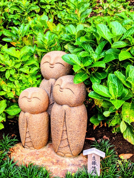 茂密绿植间摆放的小型石佛雕像