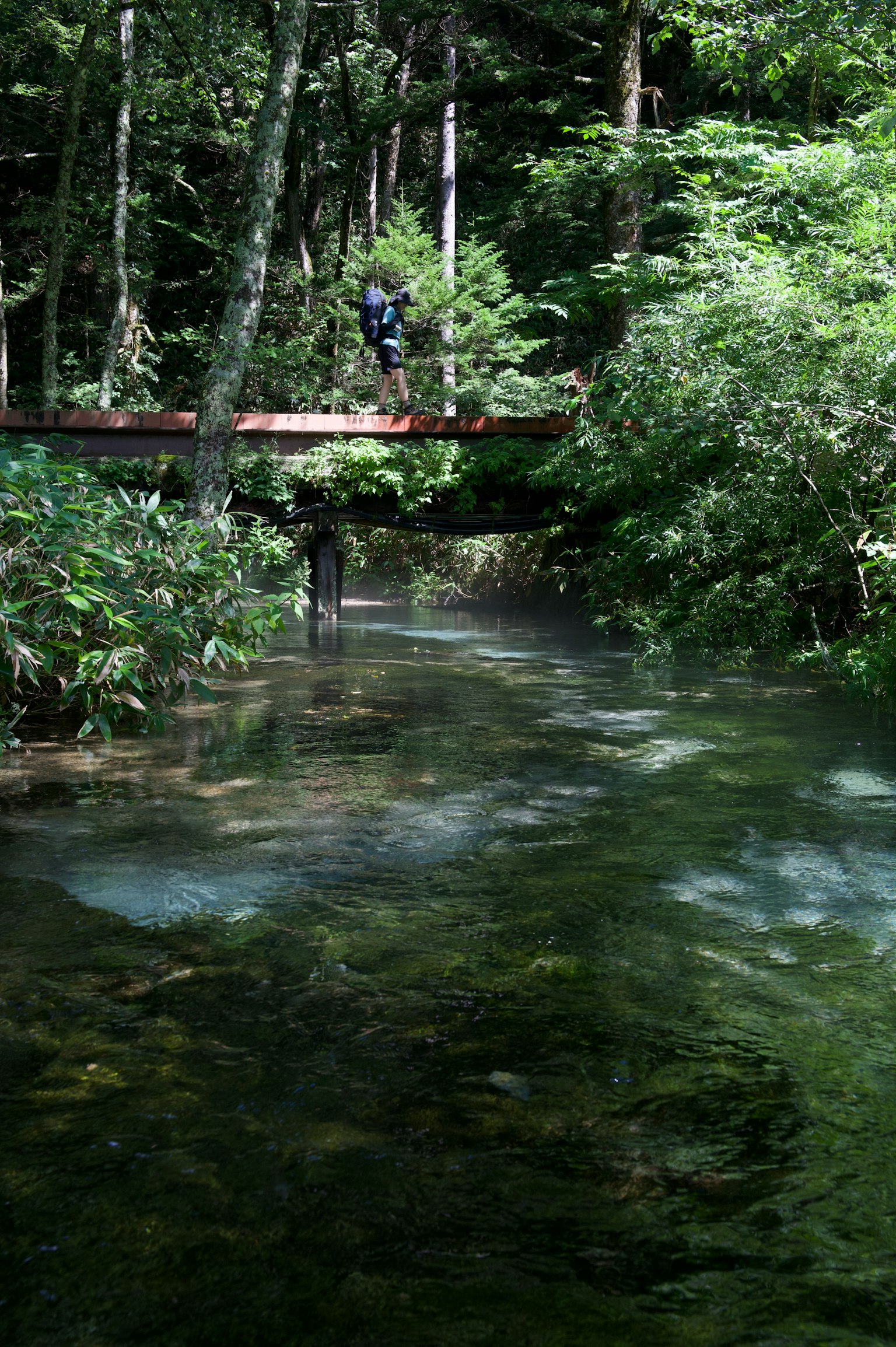Ponte di legno su un torrente circondato da una vegetazione lussureggiante con una persona in piedi sopra