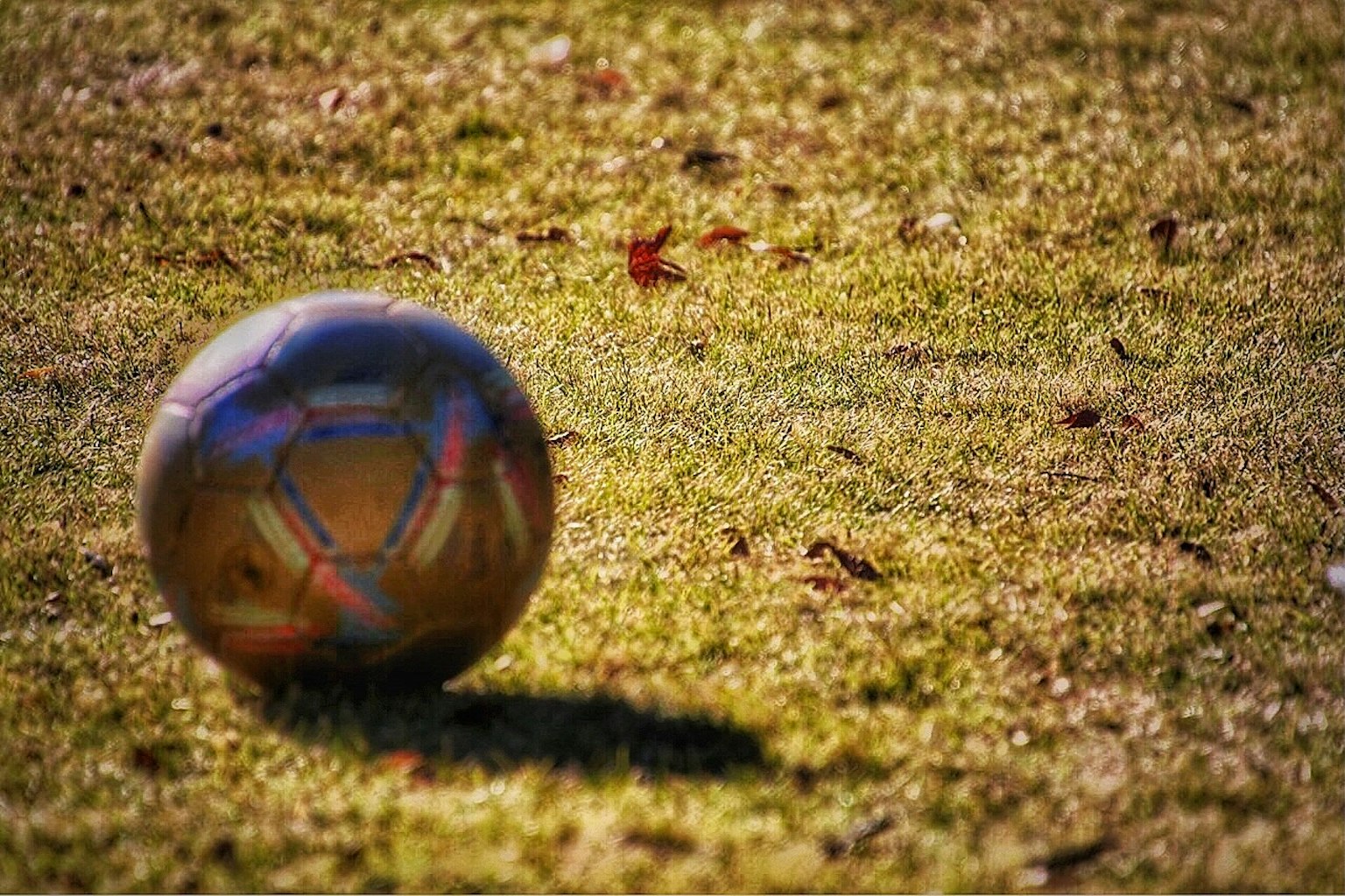 Gros plan d'un ballon de football sur de l'herbe