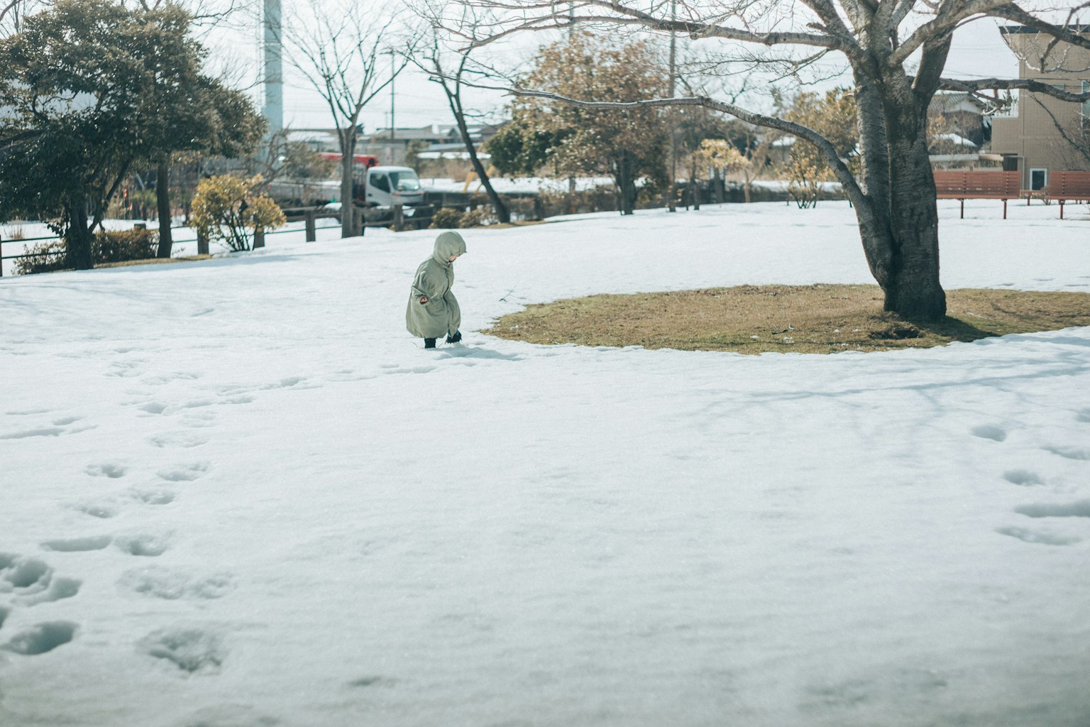 눈 덮인 공원에서 잔디 위에 서 있는 사람