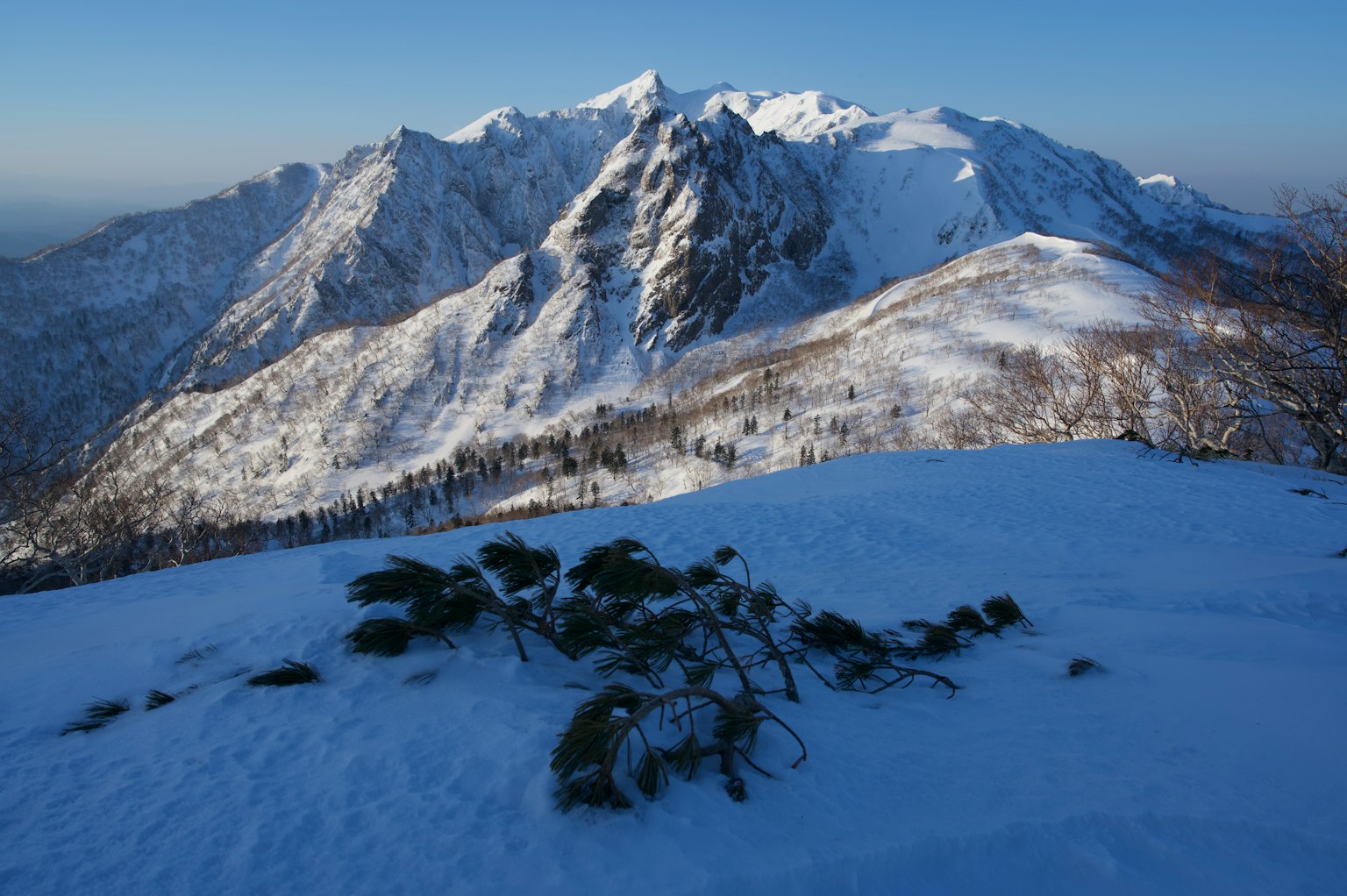 被雪覆盖的山脉与前景中的绿色植物在冬季景观中
