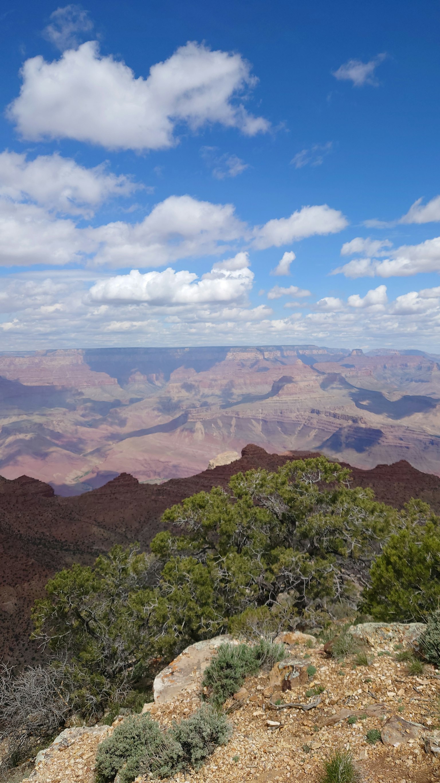 Une vue imprenable sur le Grand Canyon avec un ciel bleu et des nuages au-dessus des montagnes accidentées