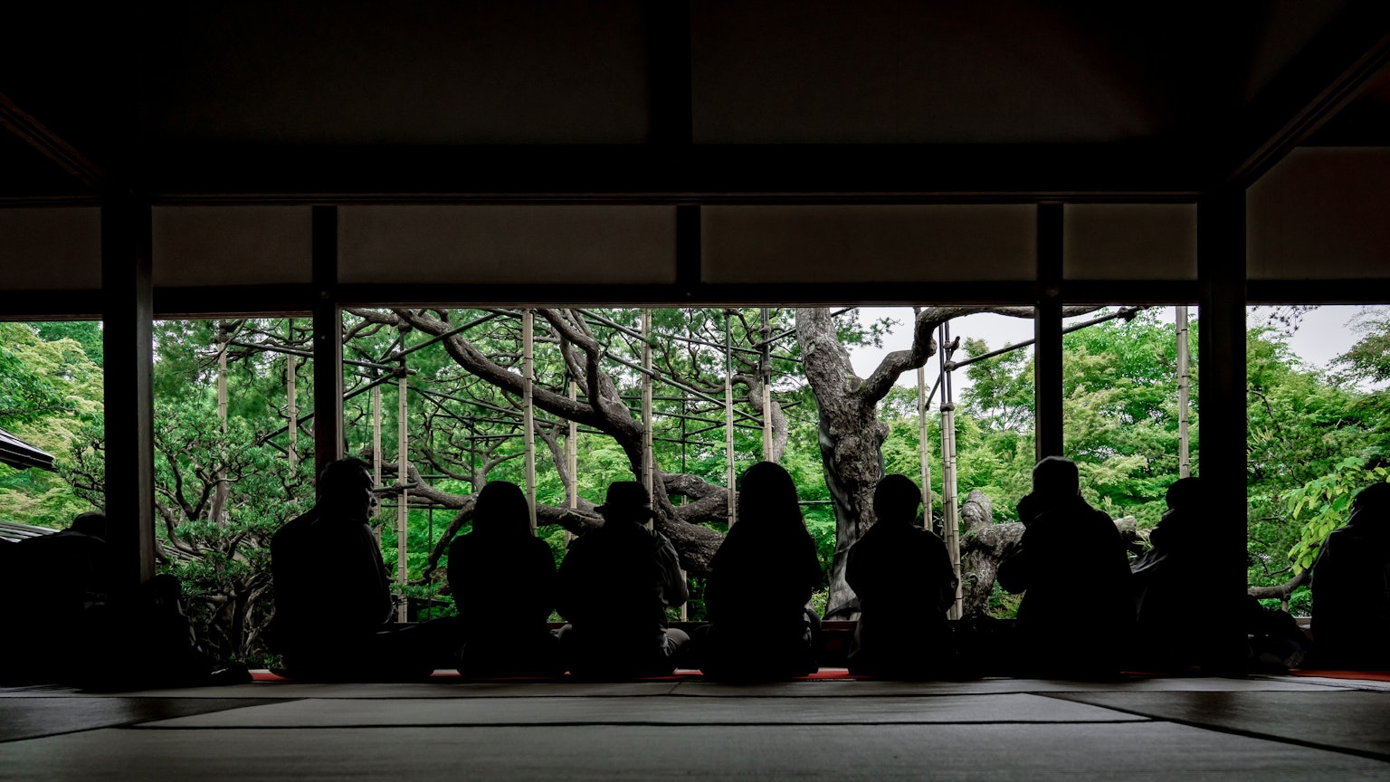 Siluetas de personas sentadas en una habitación japonesa tradicional con vista a un jardín exuberante