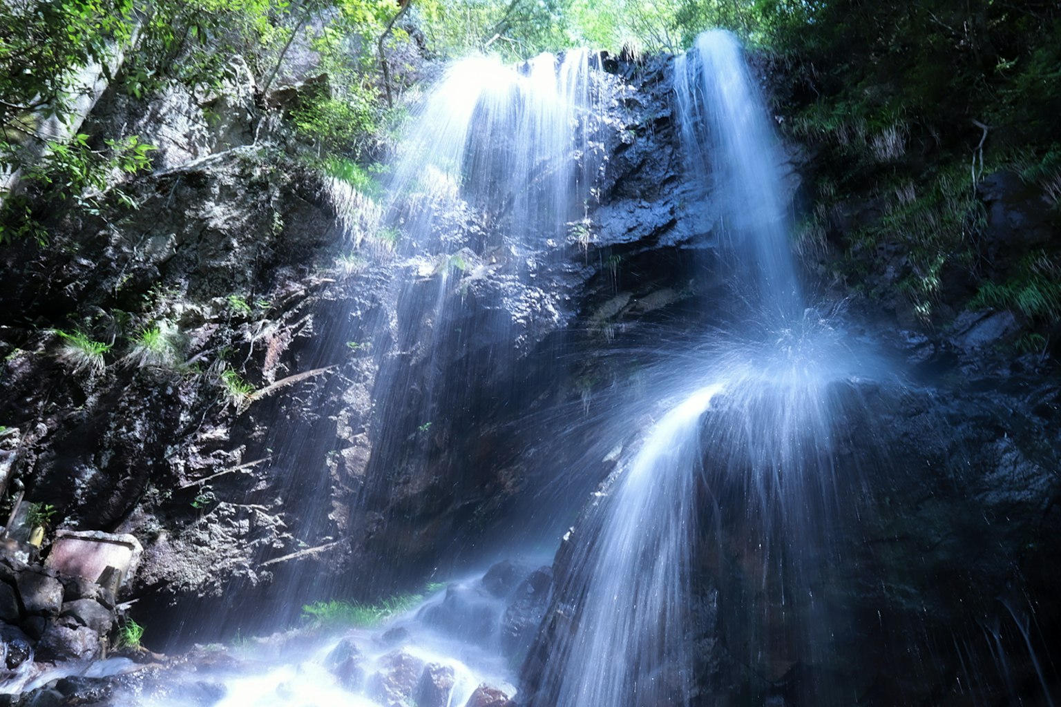 A cascading waterfall surrounded by lush greenery