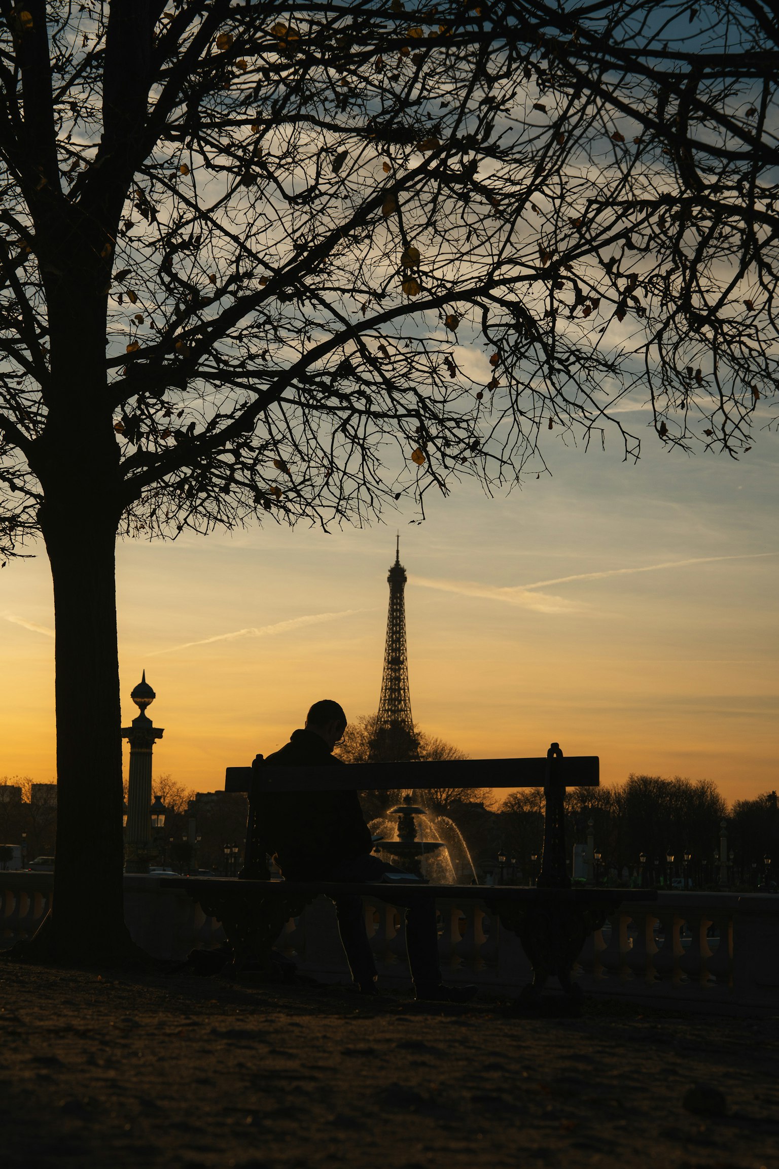 夕暮れ時のパリの公園でベンチに座る人とエッフェル塔のシルエット