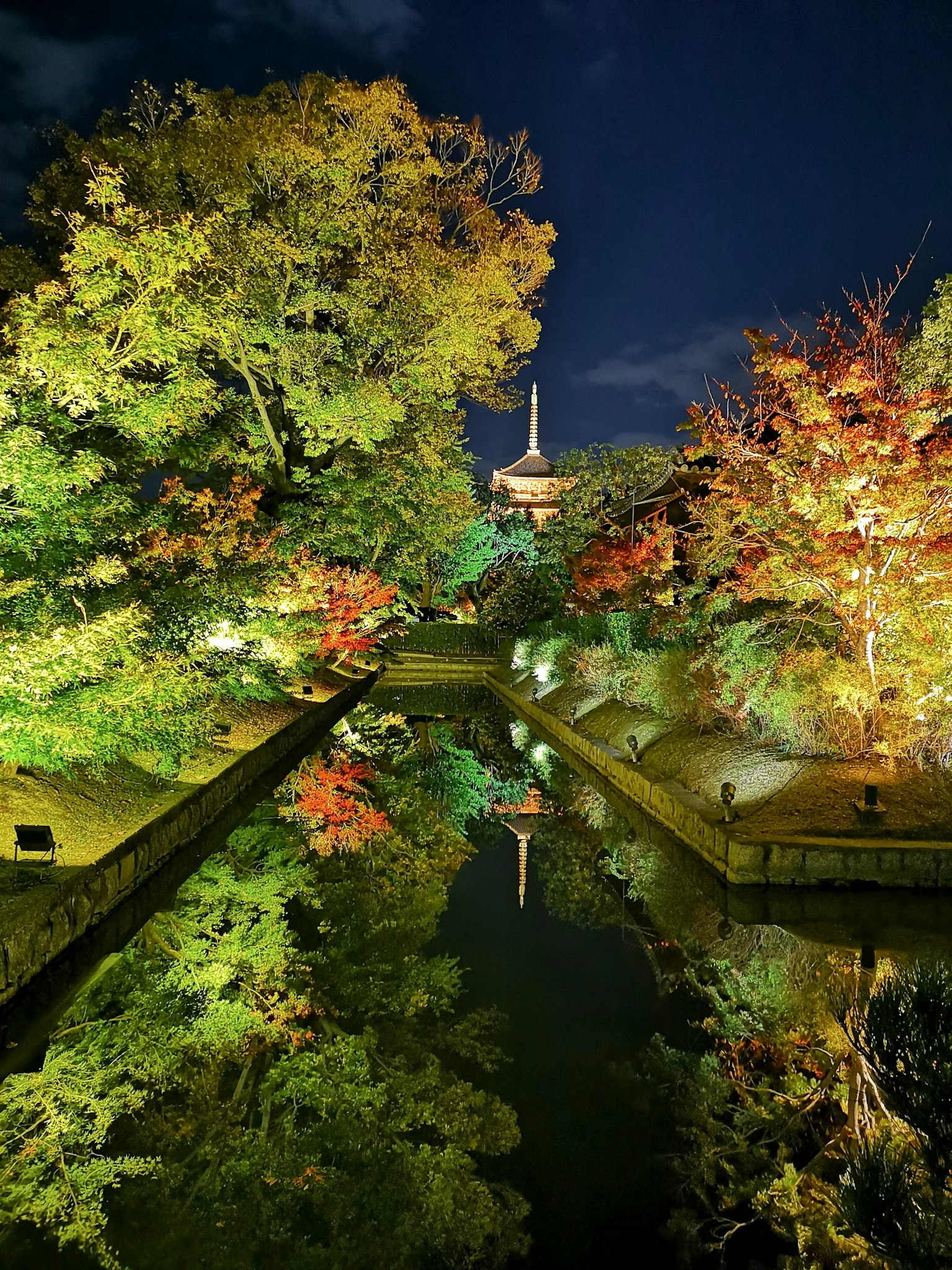 Cảnh lá mùa thu phản chiếu trong ao công viên vào ban đêm