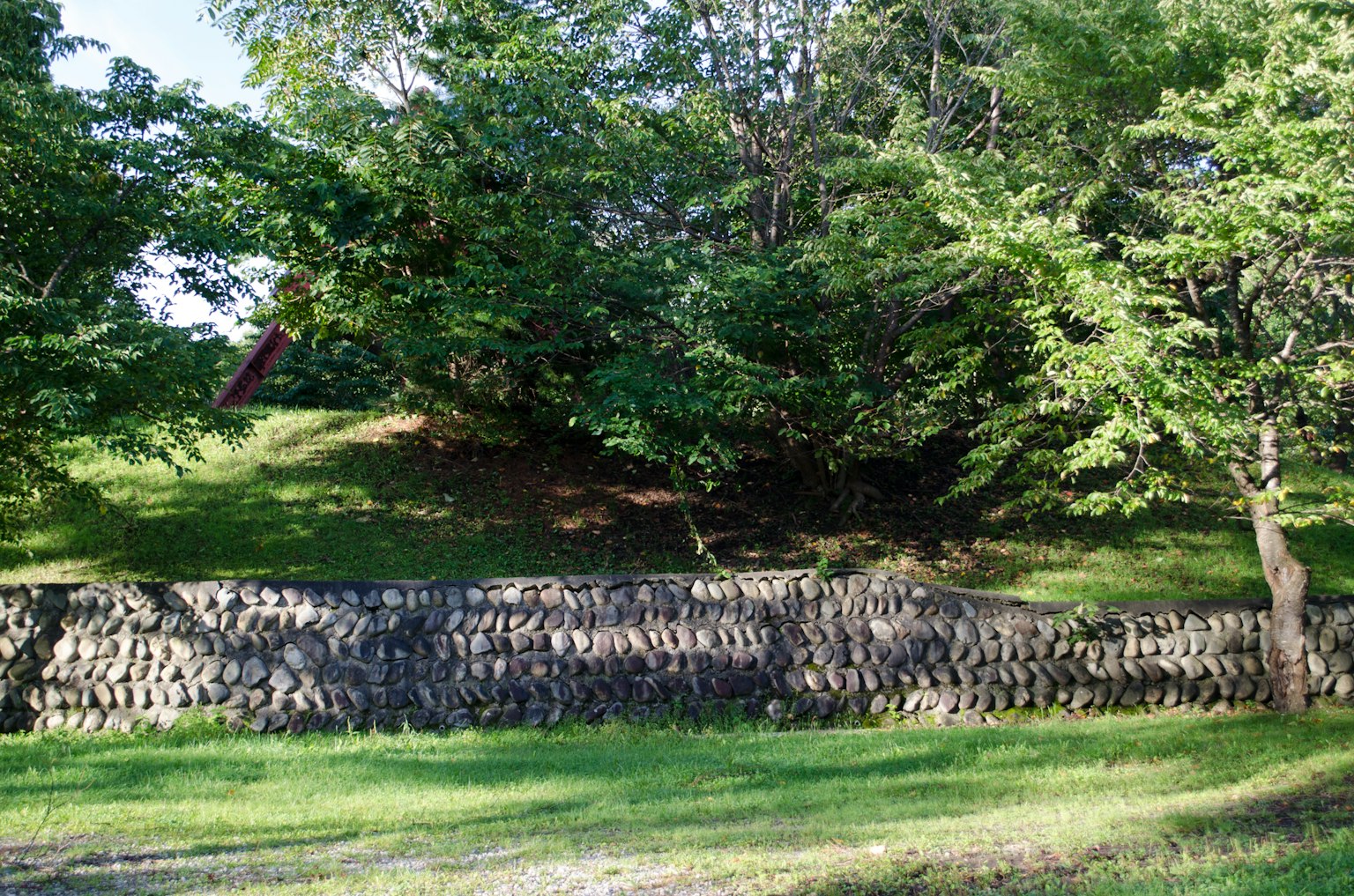Un paesaggio con un muro di pneumatici e alberi verdi lussureggianti sullo sfondo