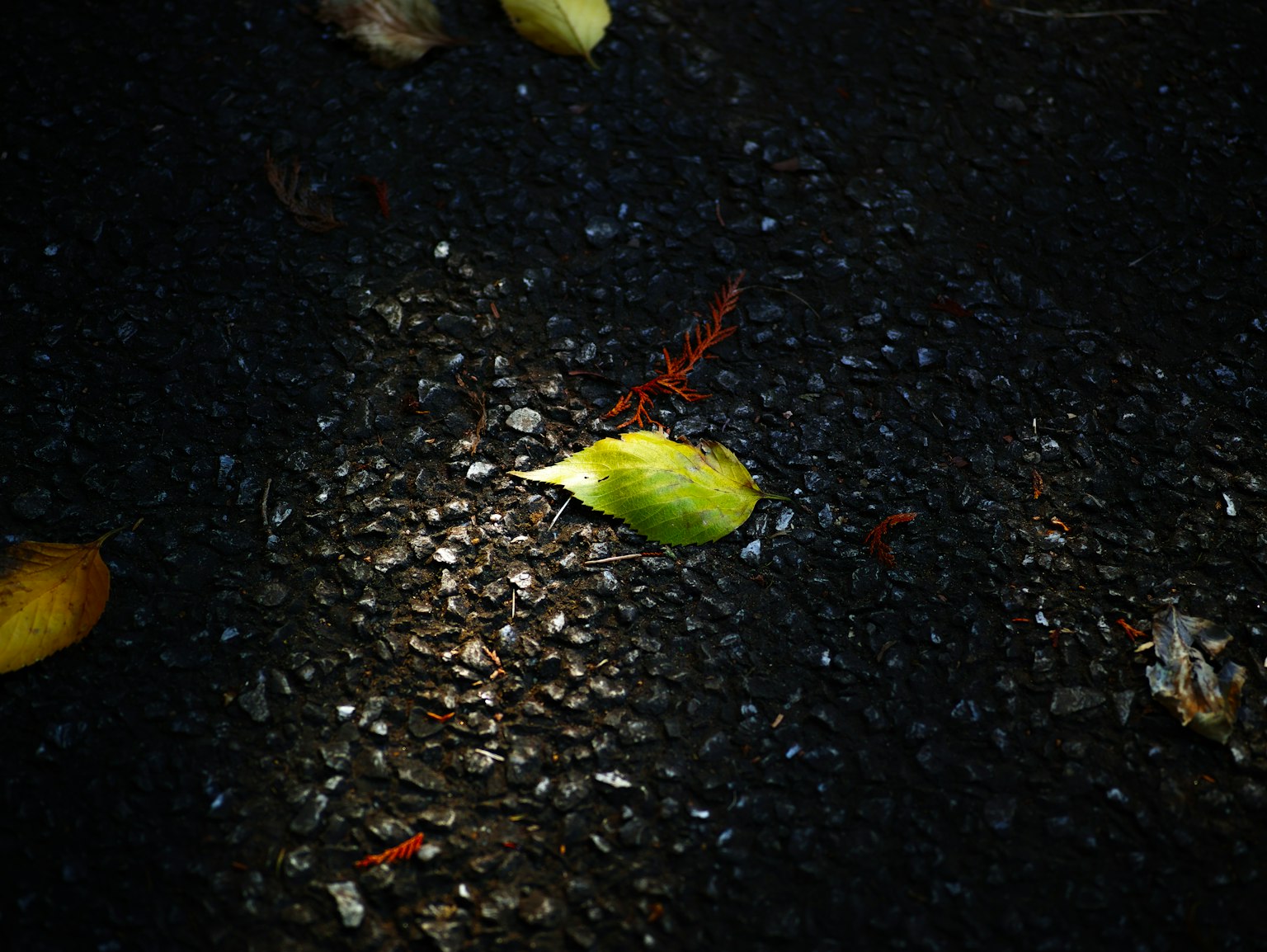 photo-D1PENT3zLSqnHfuzdrEB-image