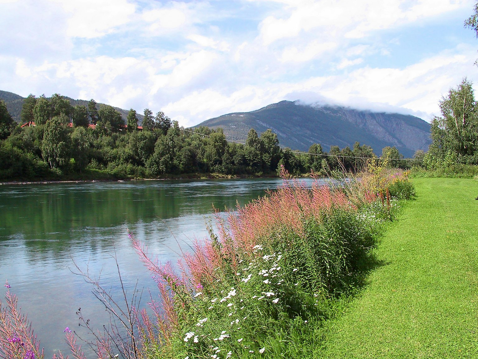 Vista escénica de la ribera del río con flores coloridas a lo largo de la orilla cubierta de hierba y agua tranquila en primer plano con montañas al fondo