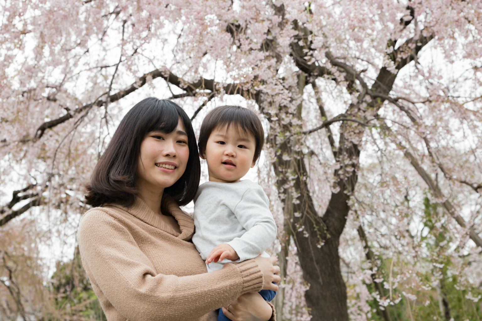 母亲在樱花树前抱着孩子