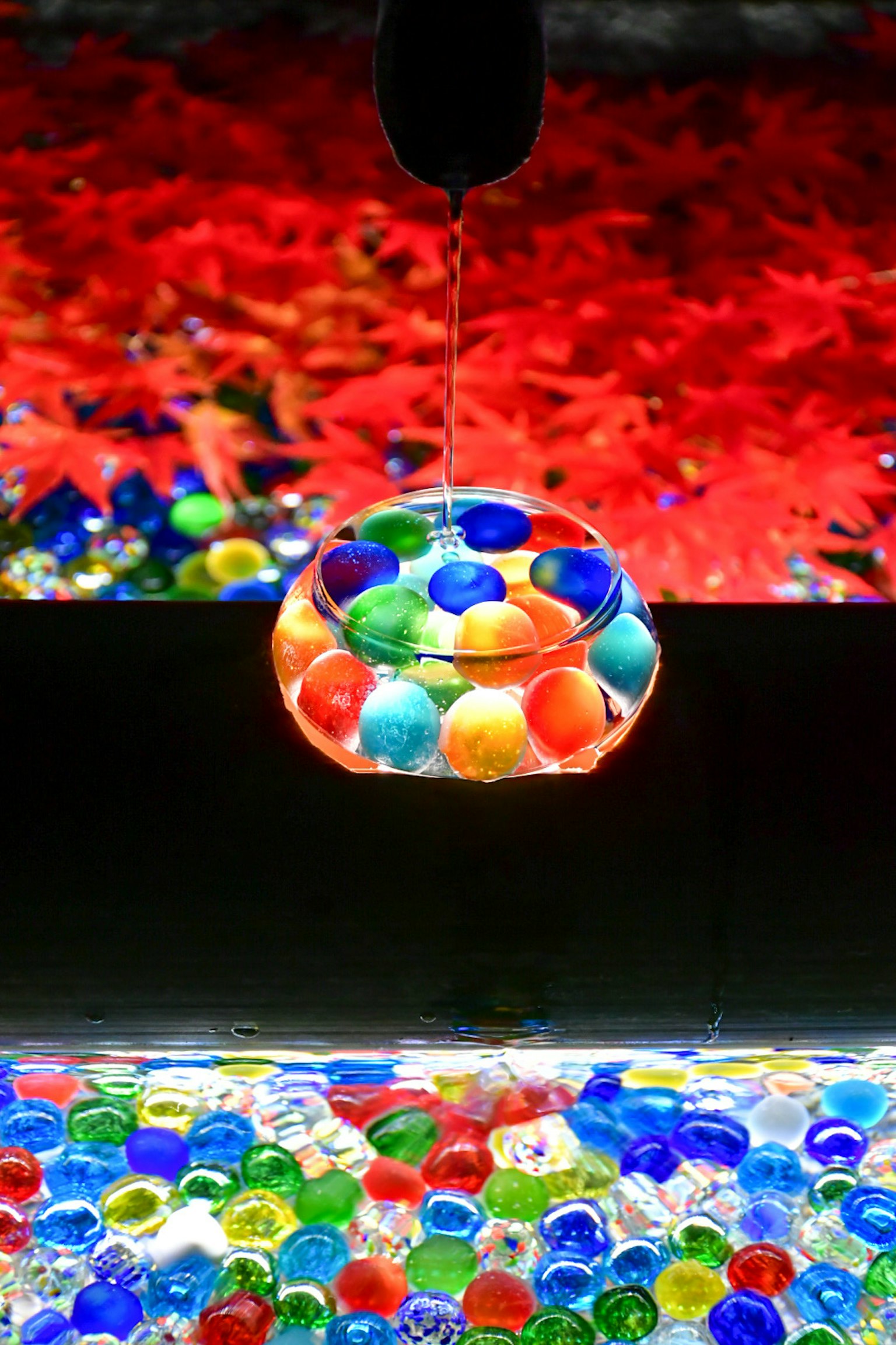 Bolle colorate che galleggiano in una ciotola trasparente su uno sfondo di foglie rosse