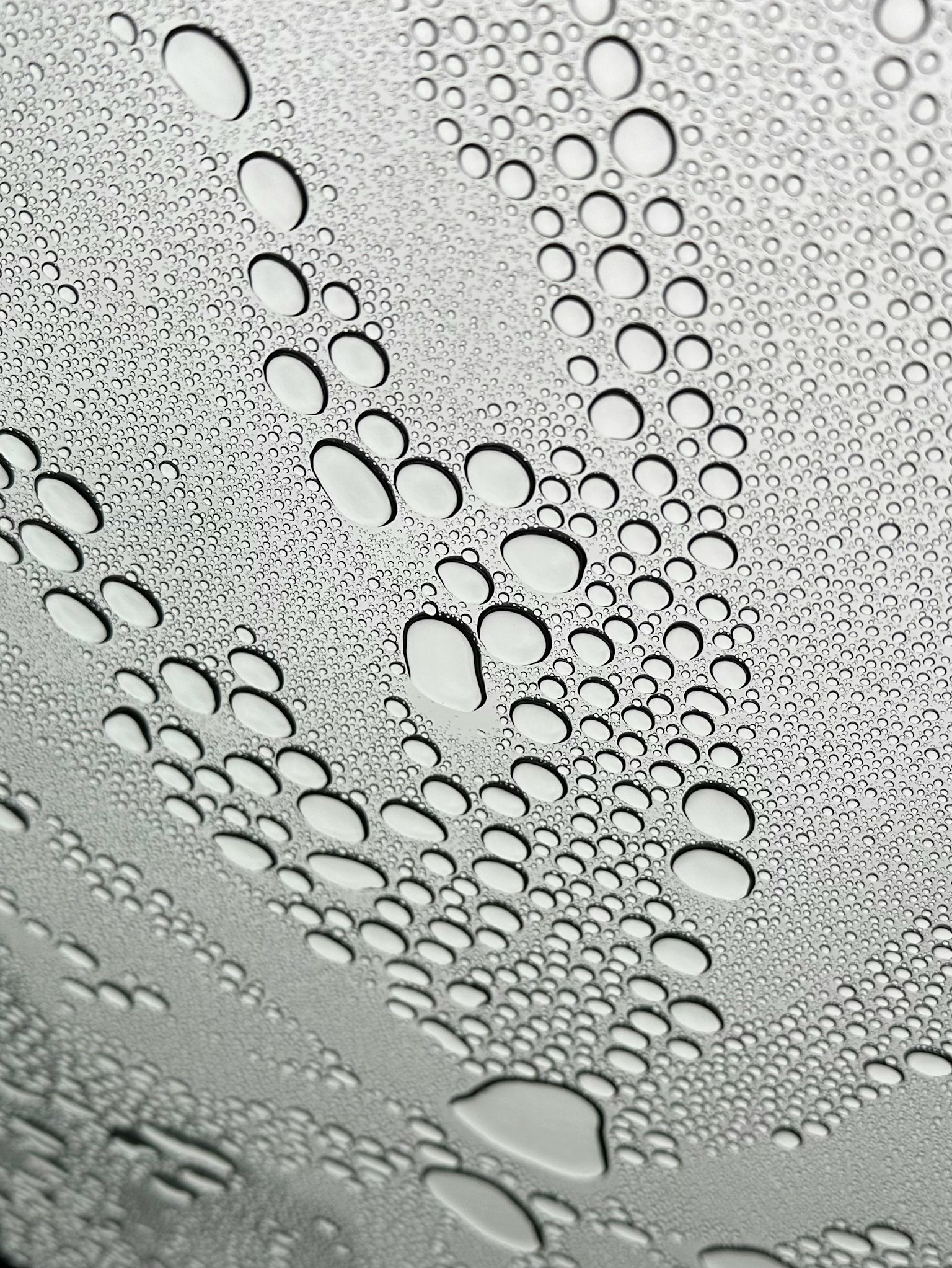 Image montrant des gouttes d'eau réparties sur une surface