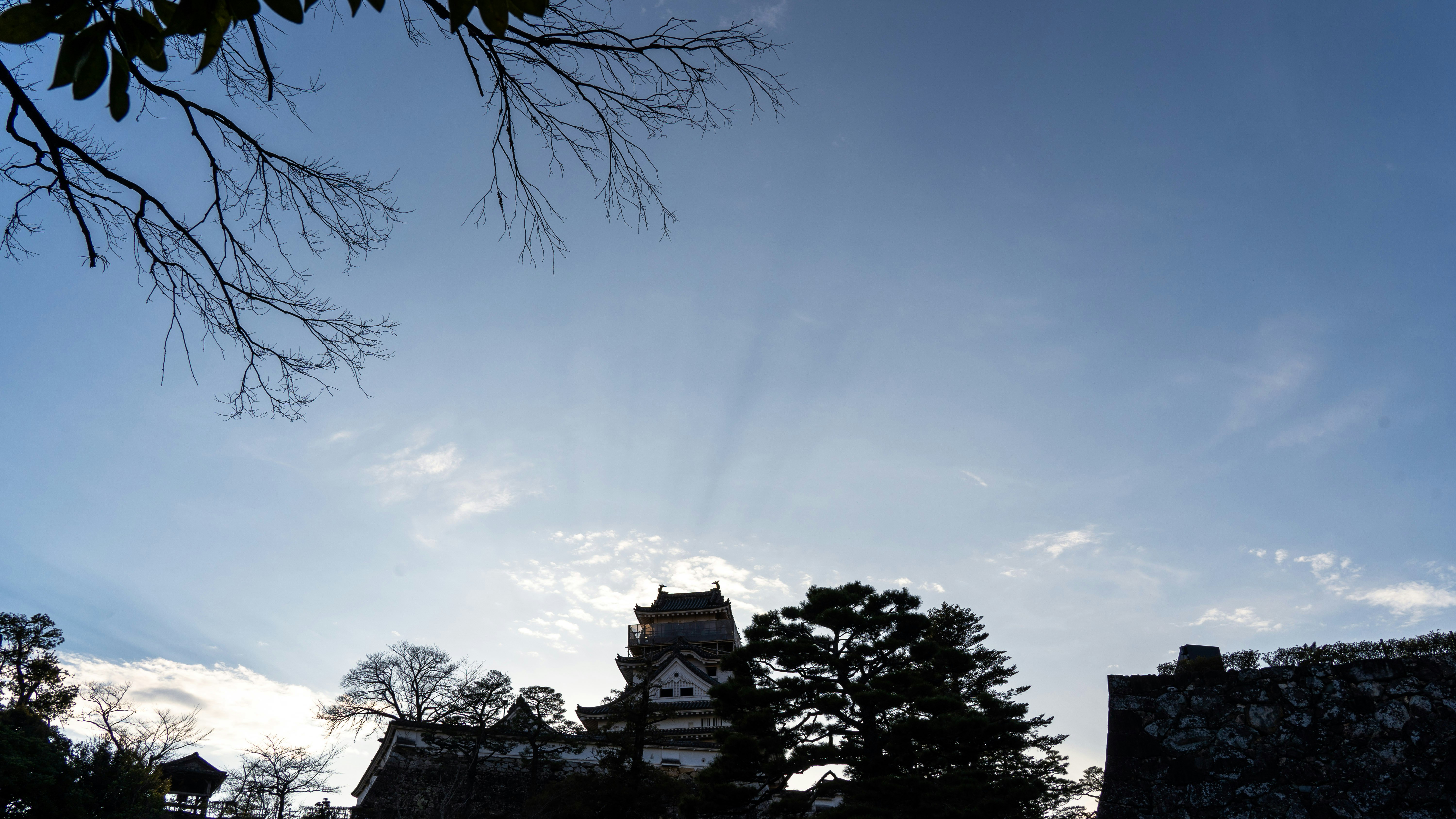 castle silhouette with trees against the sky