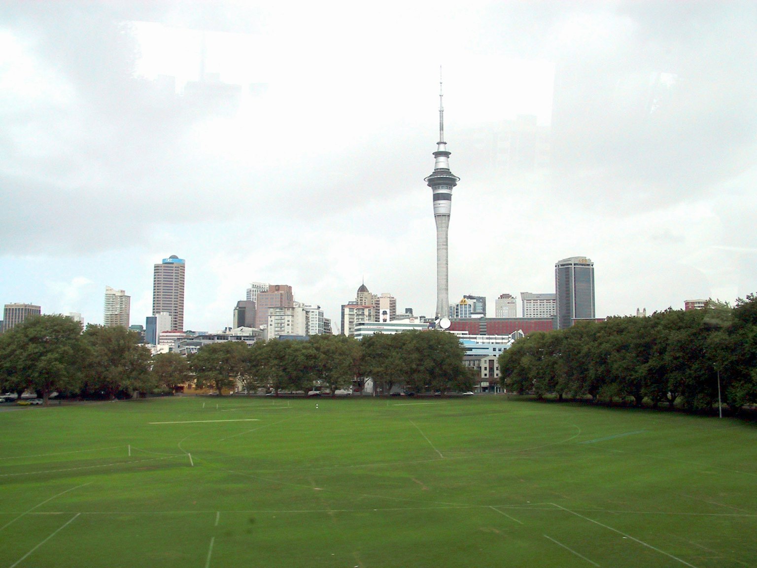 Stadtansicht von Auckland mit der Sky Tower und einem grünen Park