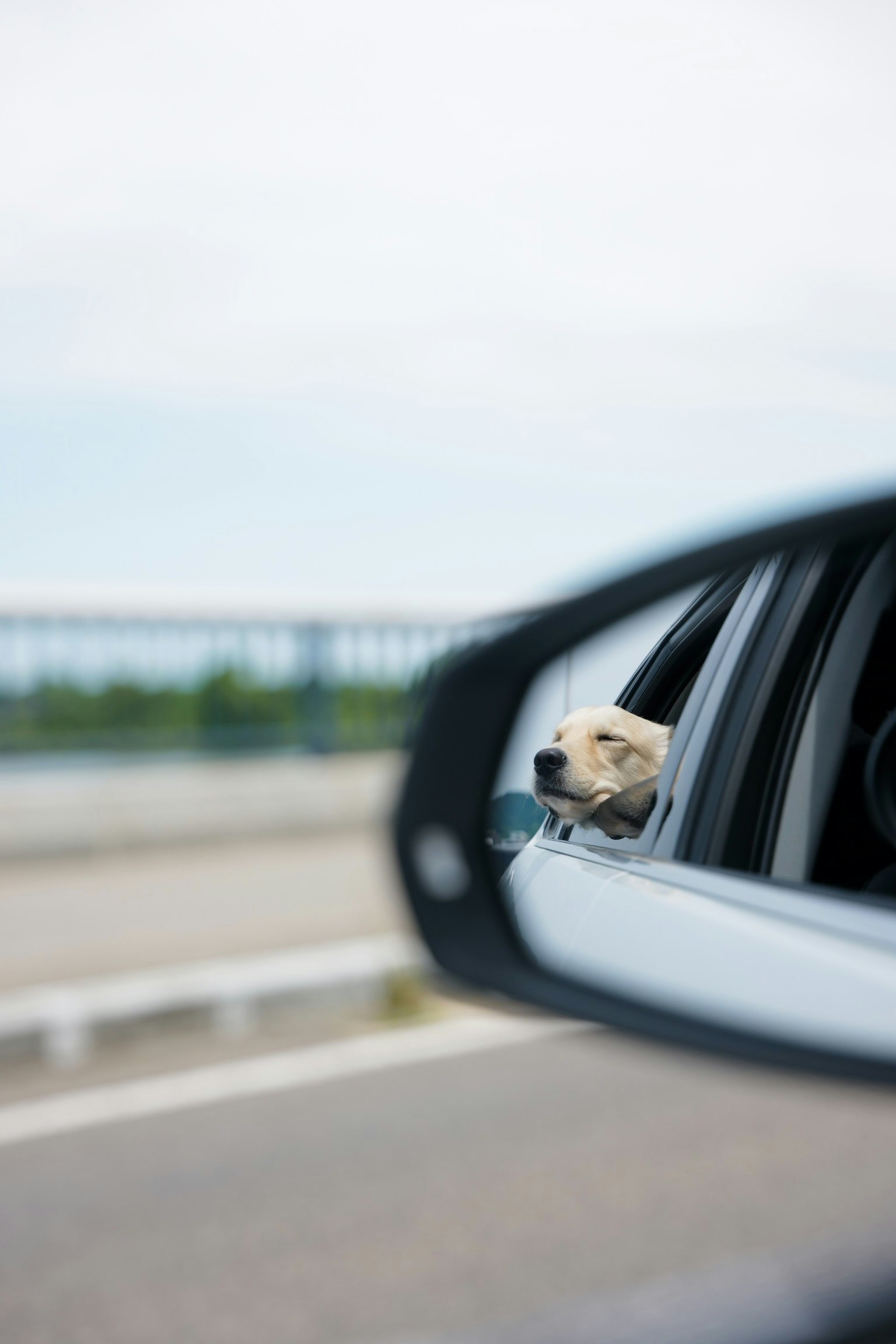 photo-D2v7LXfXX7cRJKZgmy6u-image