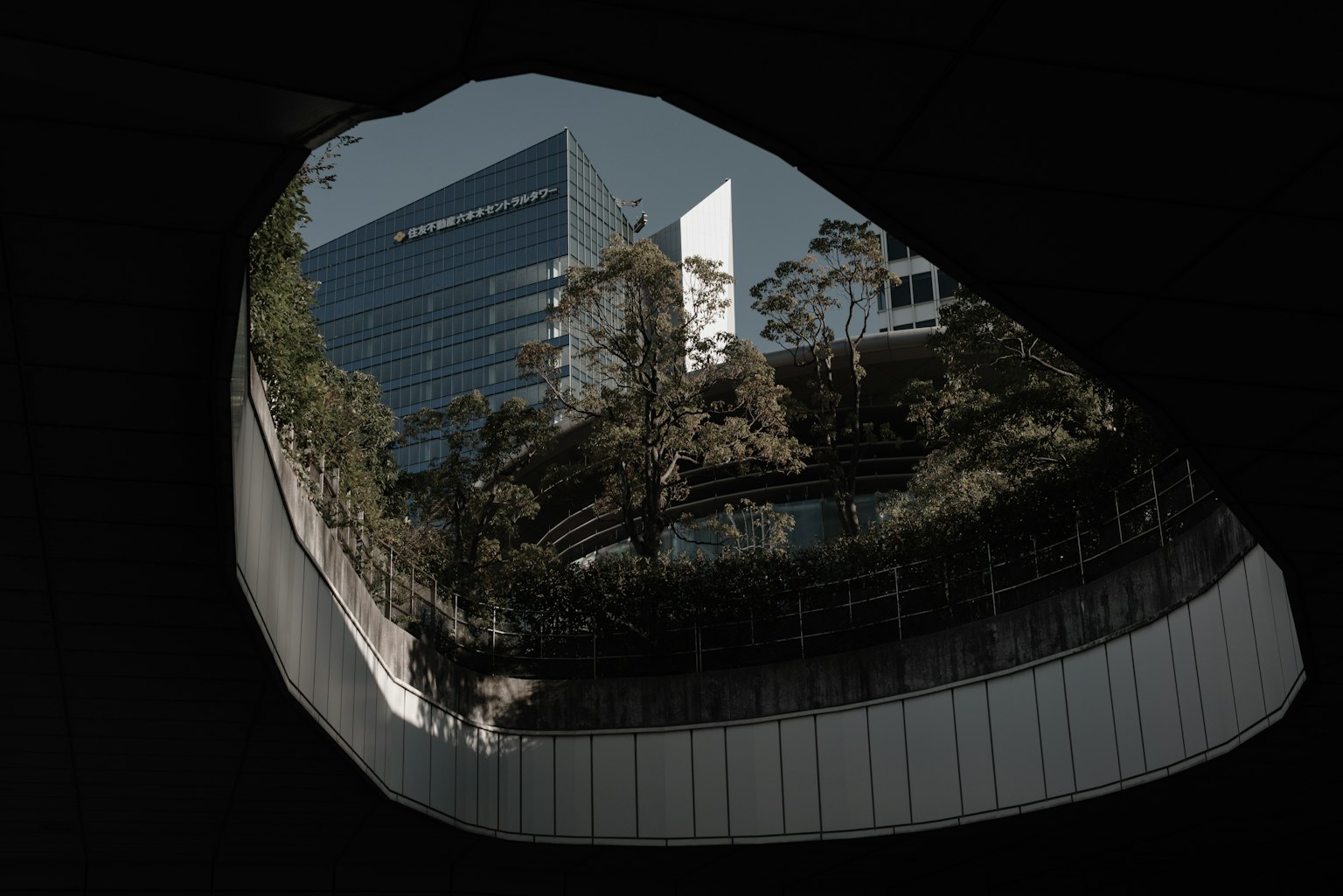 透過黑暗開口可見的現代建築和綠植