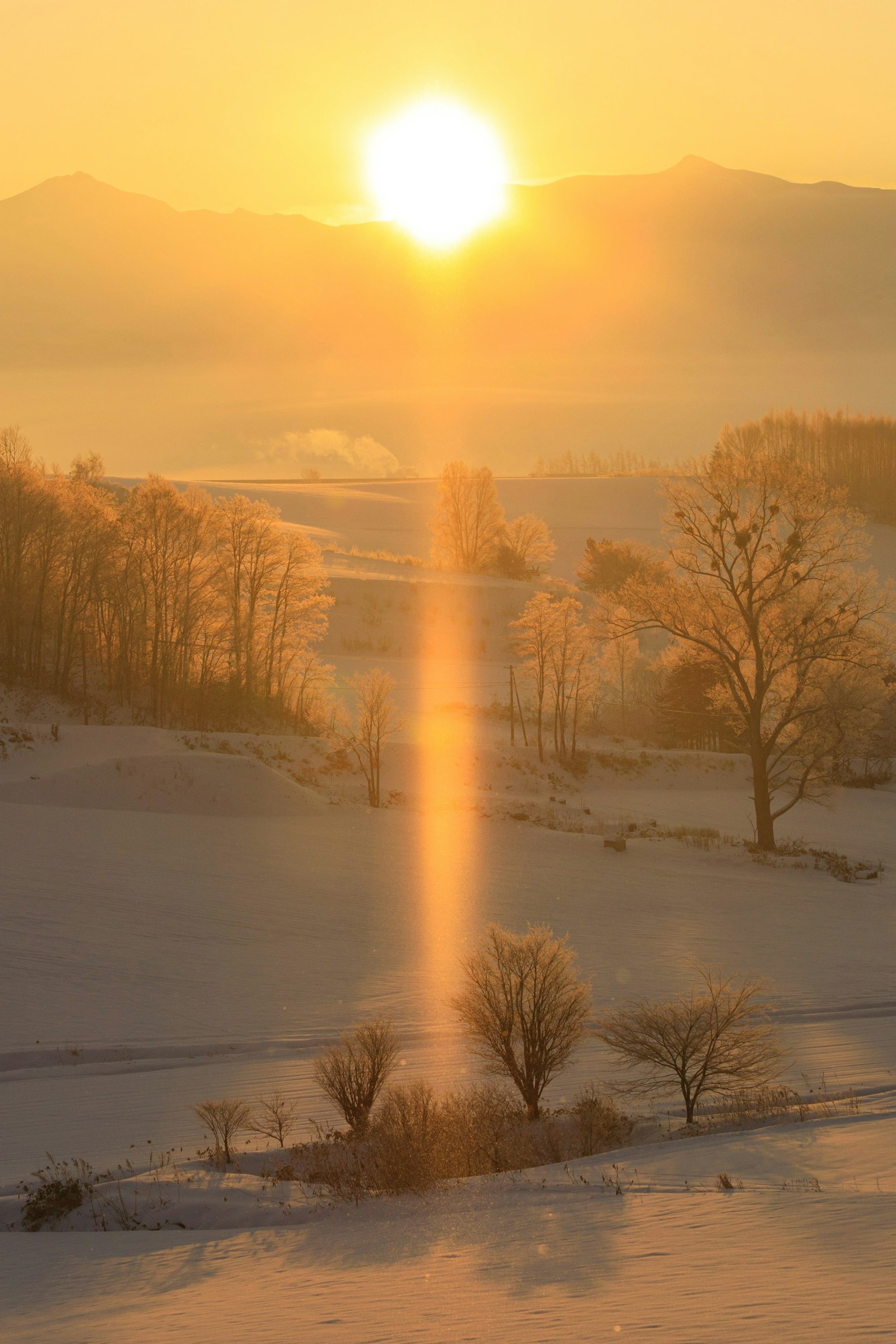 Alba su un paesaggio innevato con brina sugli alberi