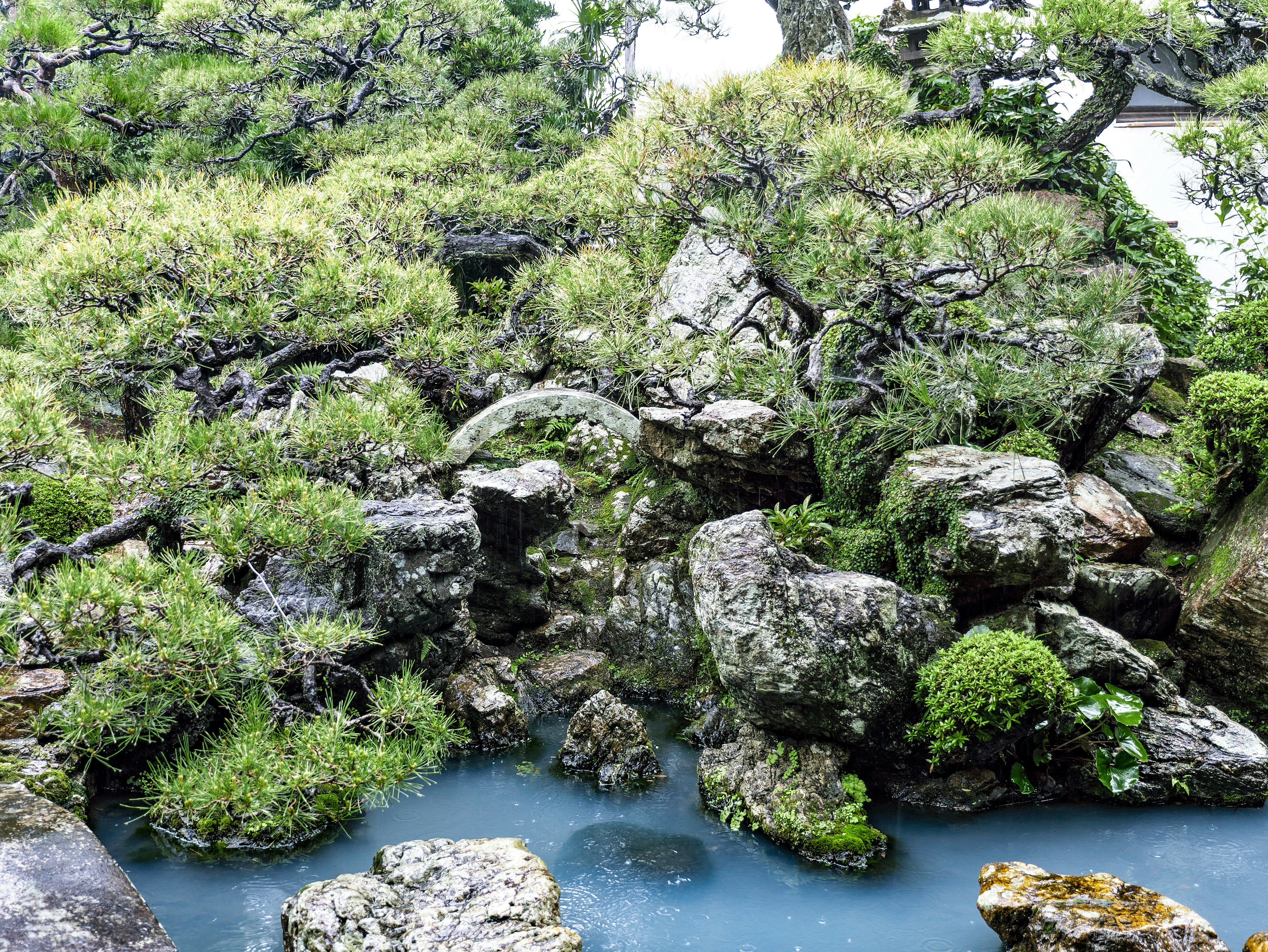 苔むした石組みの小川と庭の景観