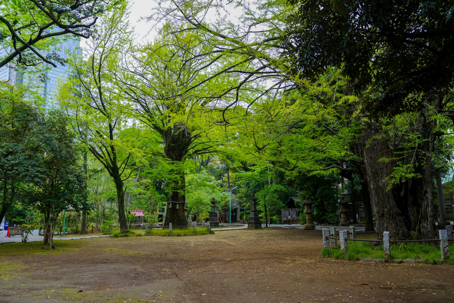 Lush park scene featuring large trees and vibrant green foliage