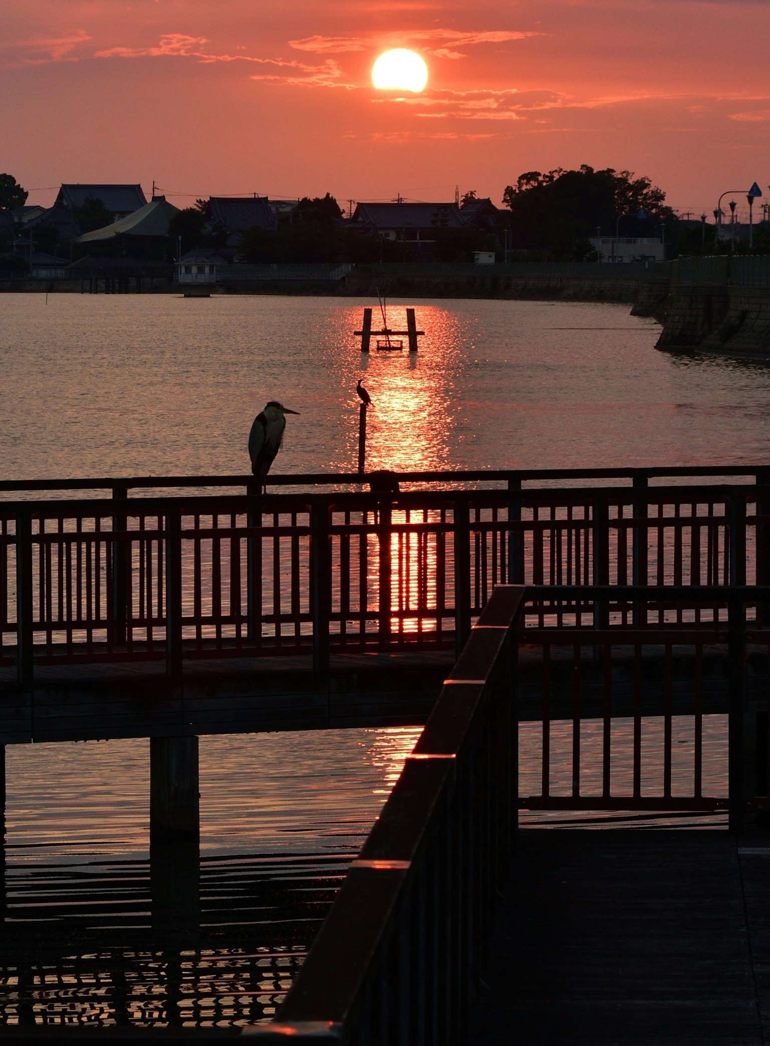Un pájaro posado en una barandilla con un atardecer reflejándose en el agua