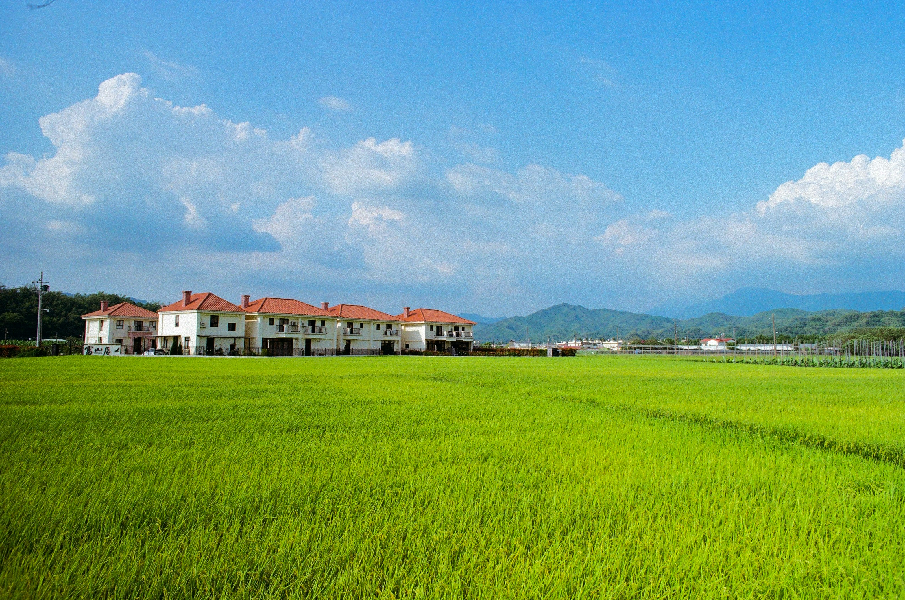 緑の田んぼと赤い屋根の家並み、青空と山並み