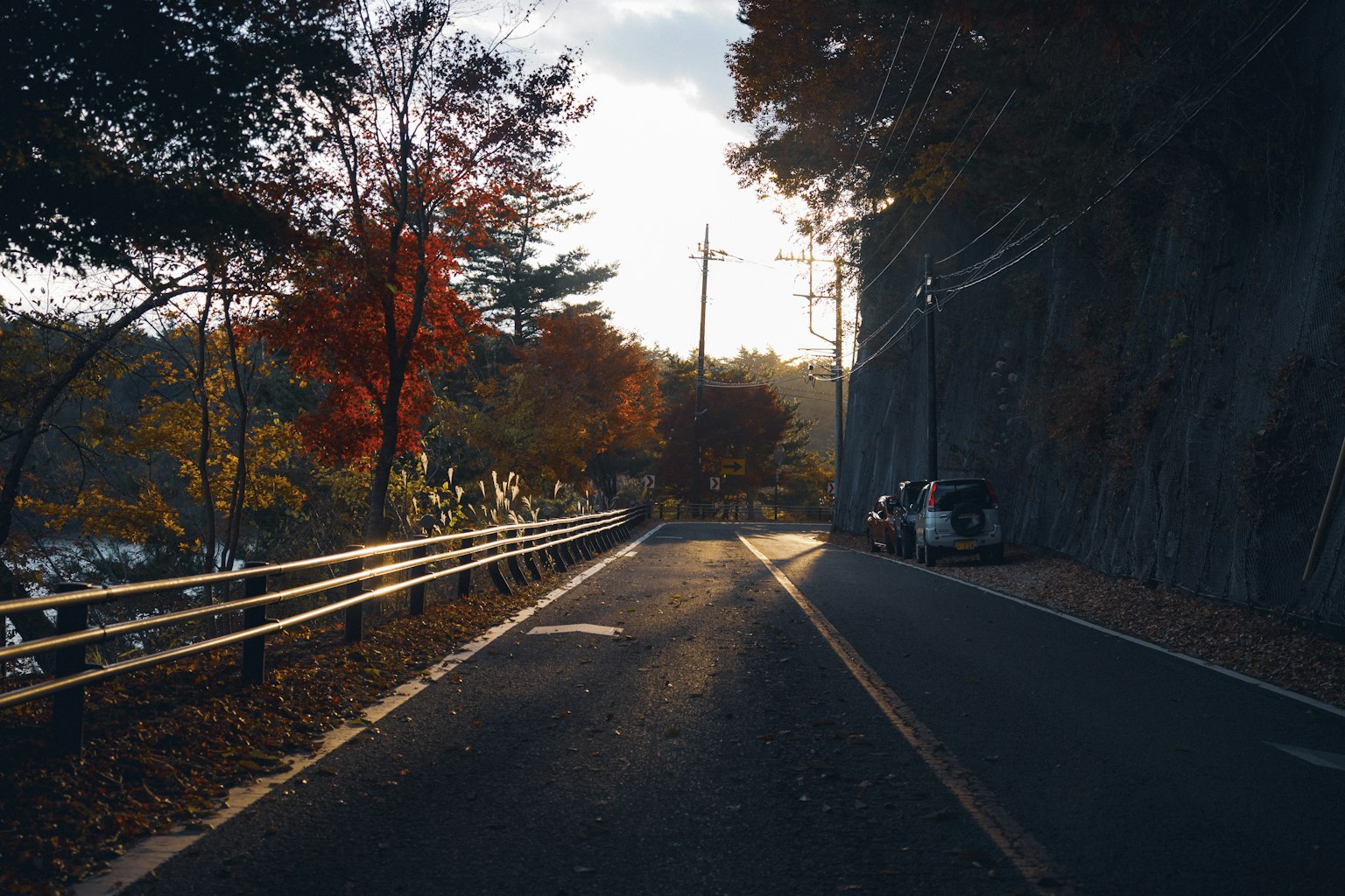 秋の紅葉に囲まれた静かな道路と岩壁