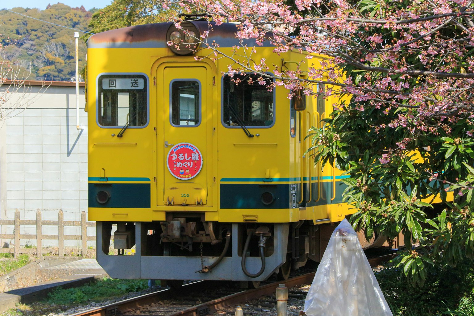 Sebuah kereta kuning di samping bunga sakura