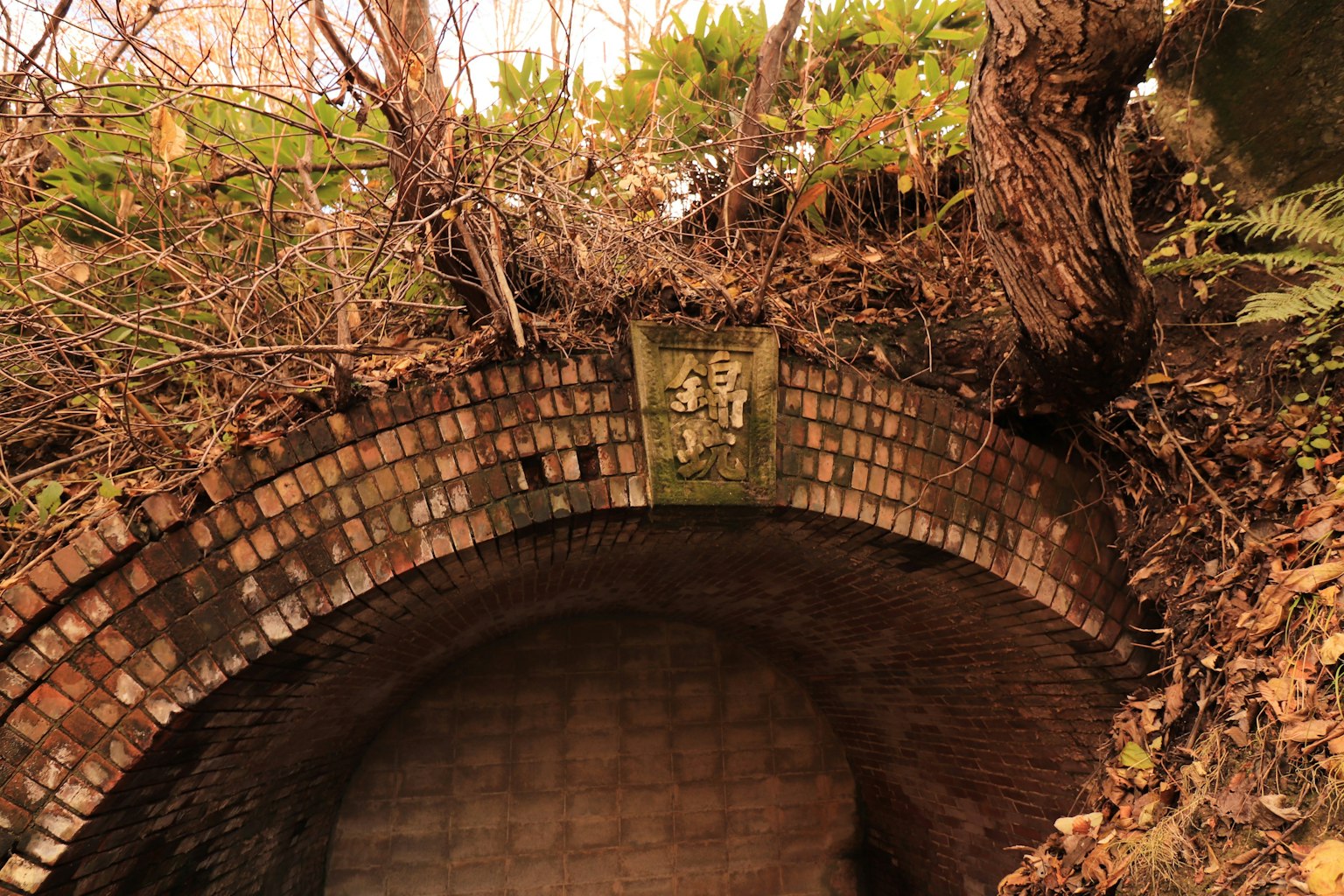 Entrée d'un tunnel recouvert de verdure avec un vieux arc en brique