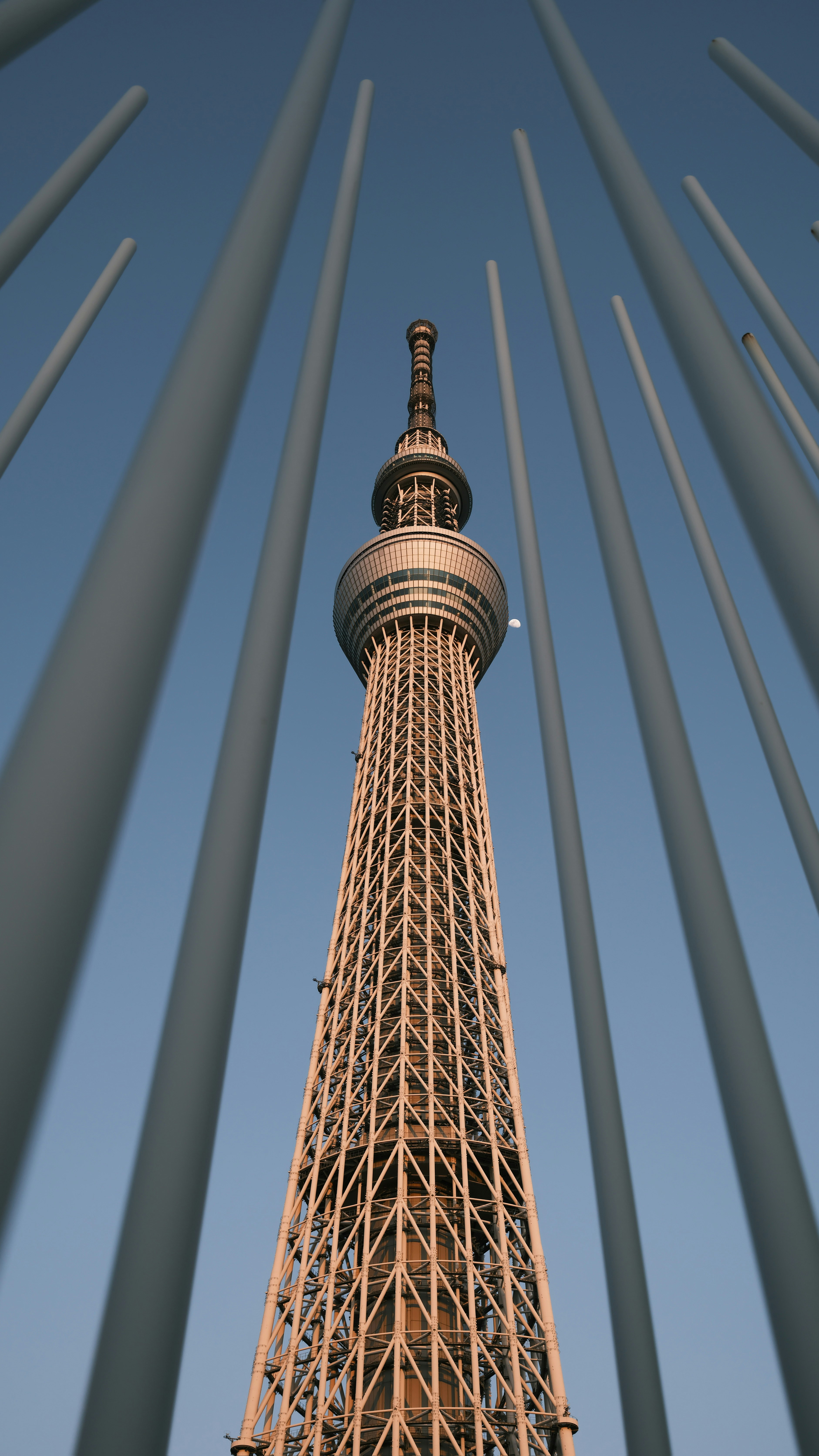 東京スカイツリーを仰ぎ見る展望の構図