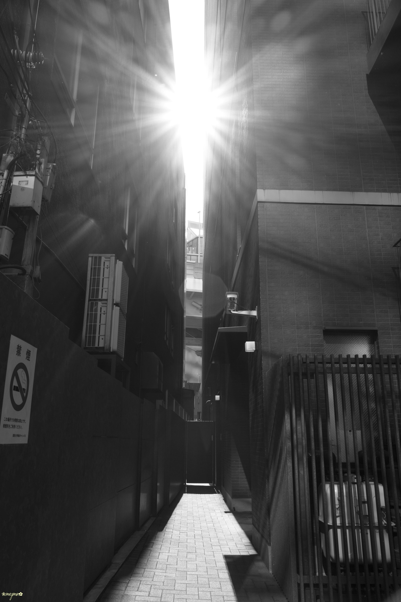 Light streaming through a narrow alley between buildings in black and white