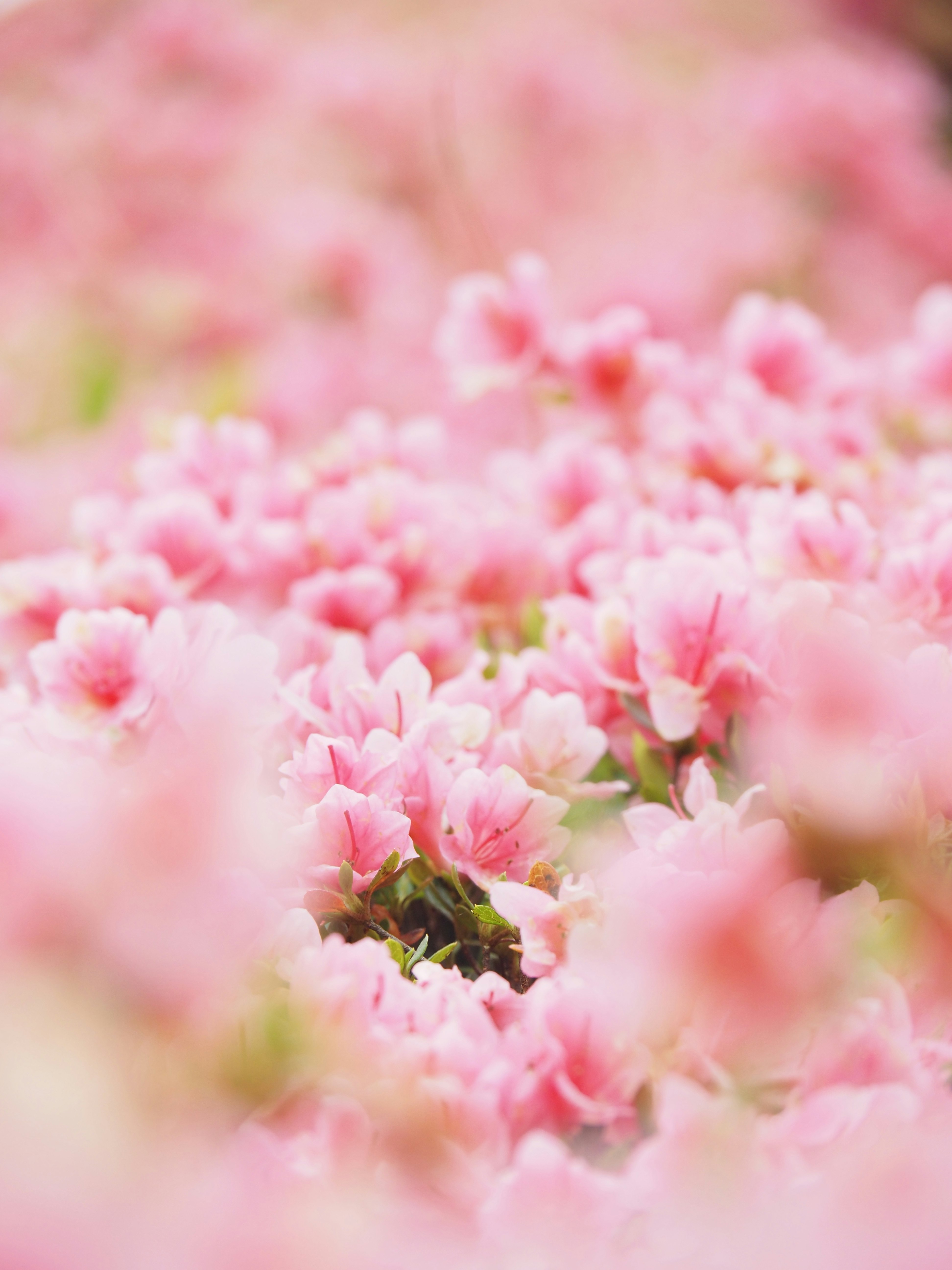 photo-D6cECNFrp6bfaJ3bCpP8-image