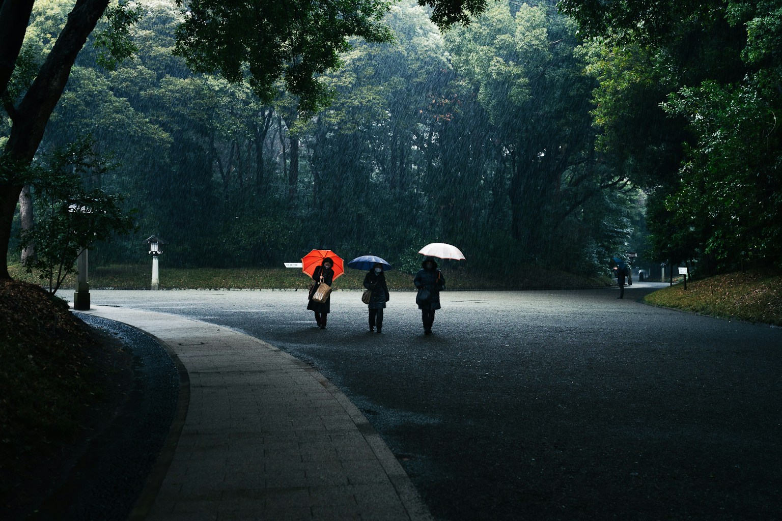 photo-D7IJHAbAUgf9rnKa1iow-image