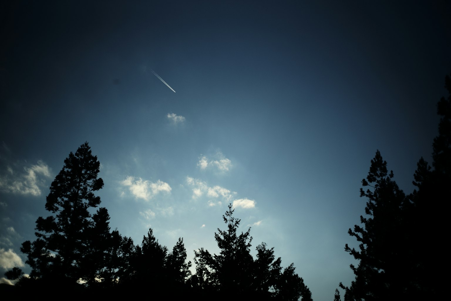 Silueta de árboles contra un cielo azul con nubes y una estela de avión