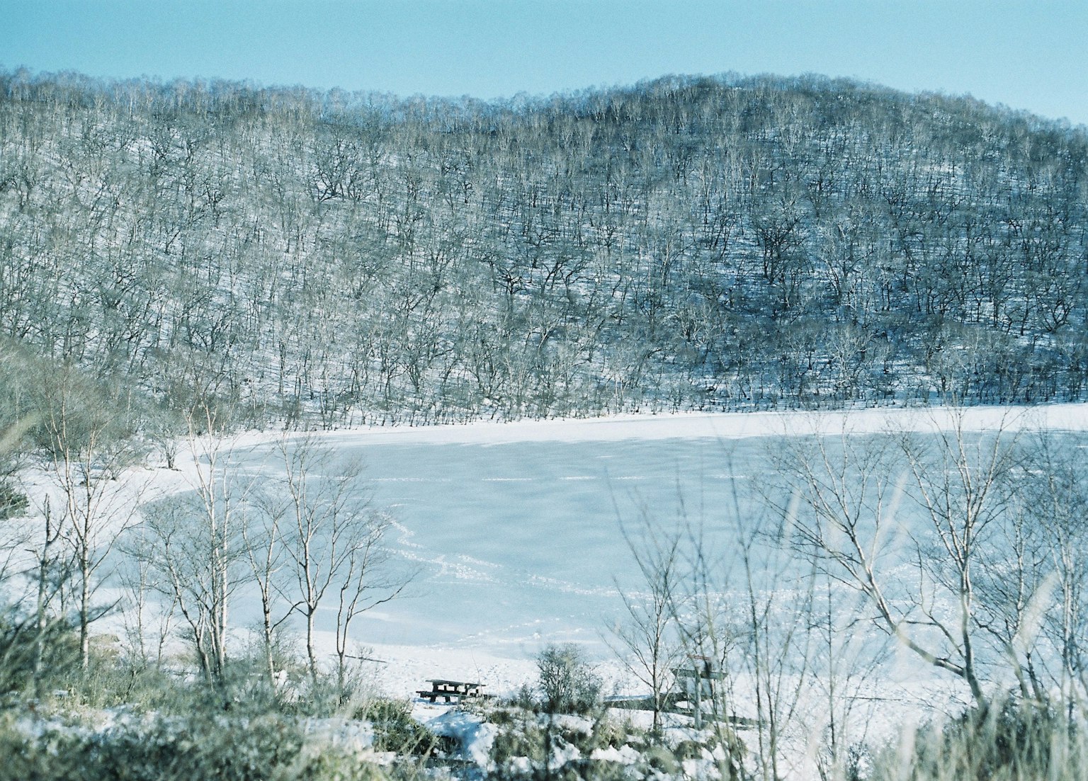 雪に覆われた湖と山の風景
