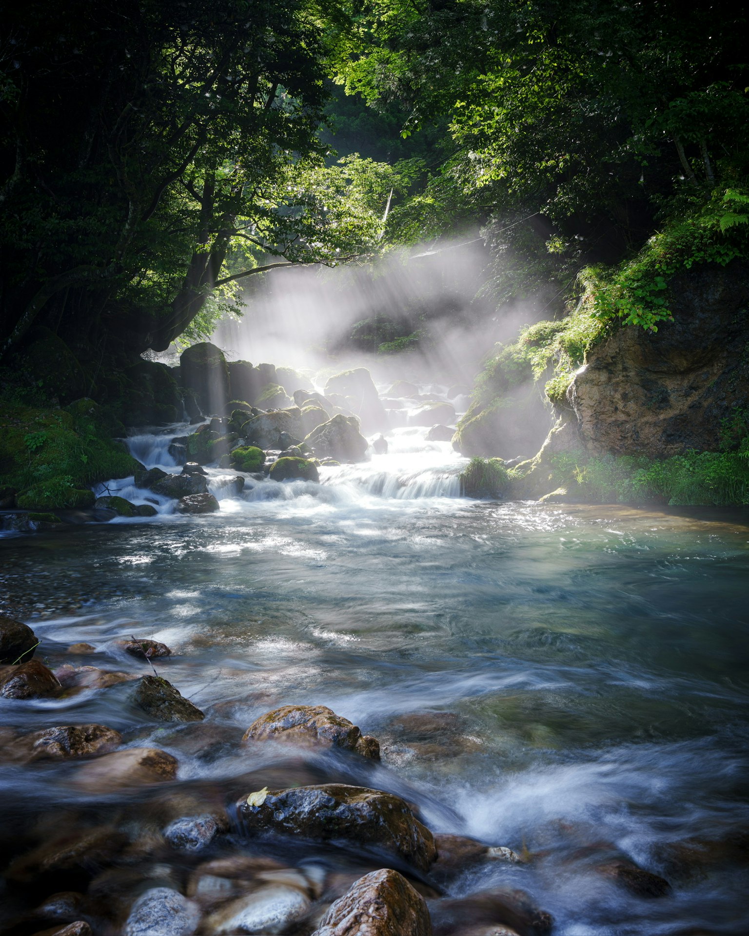 Scène de rivière magnifique avec de l'eau qui coule et une cascade entourée d'une végétation luxuriante