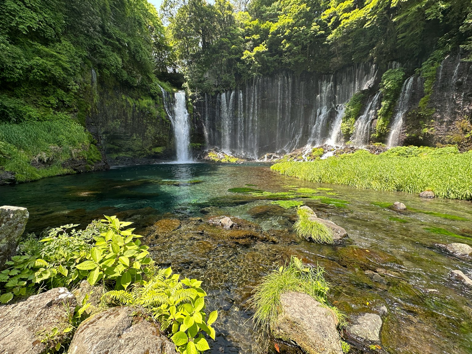 Vue pittoresque de chutes d'eau entourées de verdure luxuriante et d'eau claire
