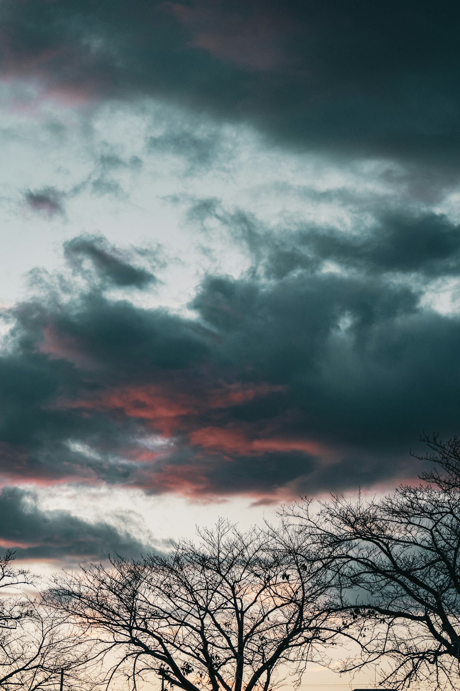 Dramatic sky at dusk with gray clouds and hints of red highlighting the silhouetted trees