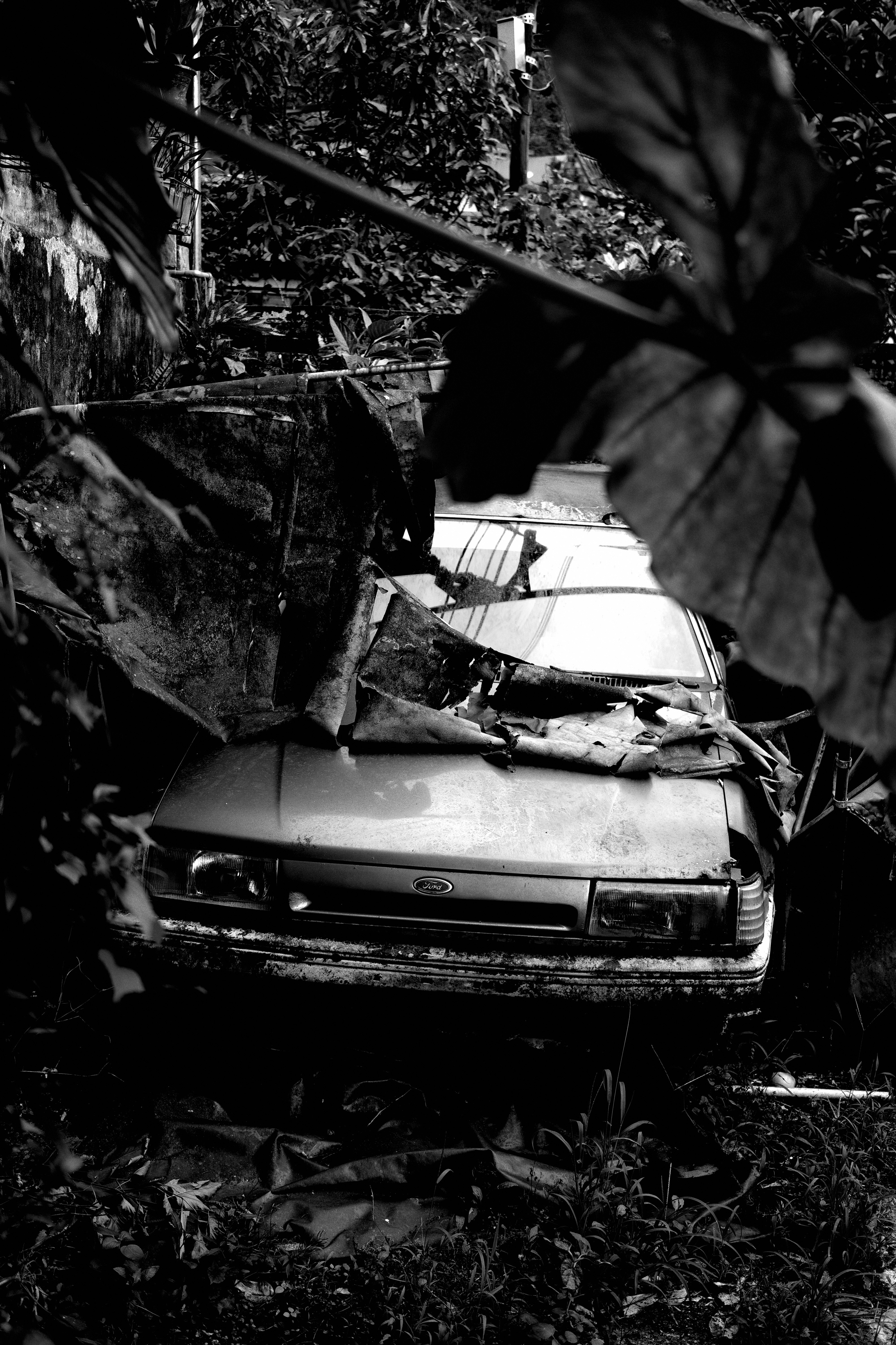 草むらに埋もれた錆びた車の残骸