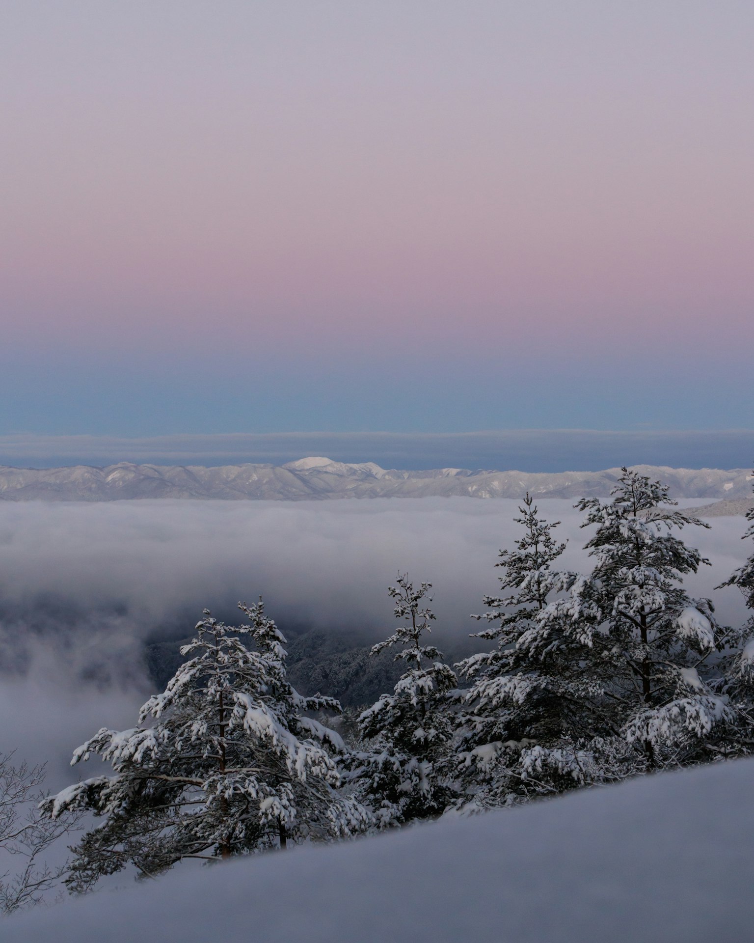 Alberi coperti di neve con un bellissimo sorgere del sole su montagne nebbiose